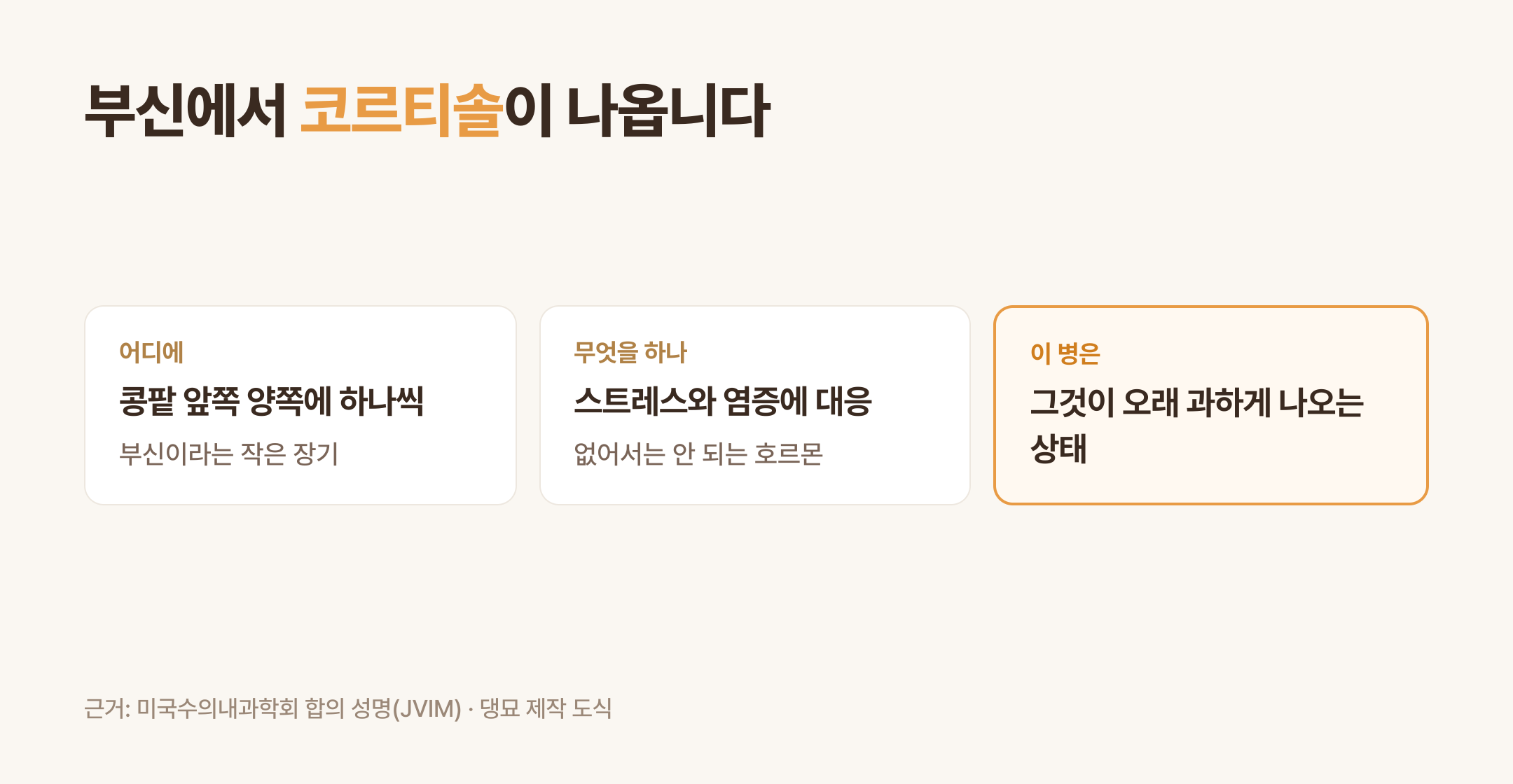 부신과 코르티솔이 하는 일 (댕묘 제작 도식)