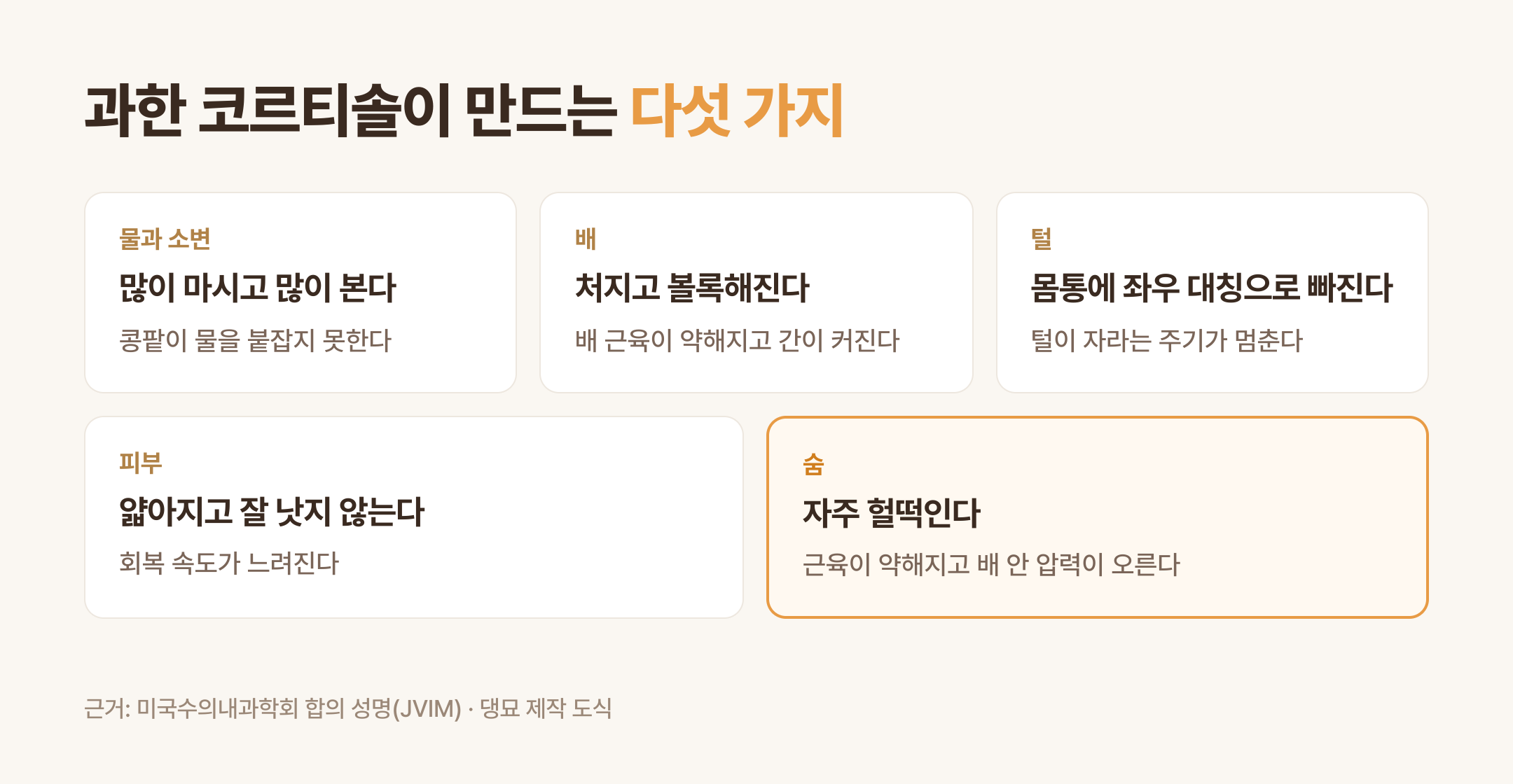 과한 코르티솔이 만드는 증상 다섯 가지 (댕묘 제작 도식)