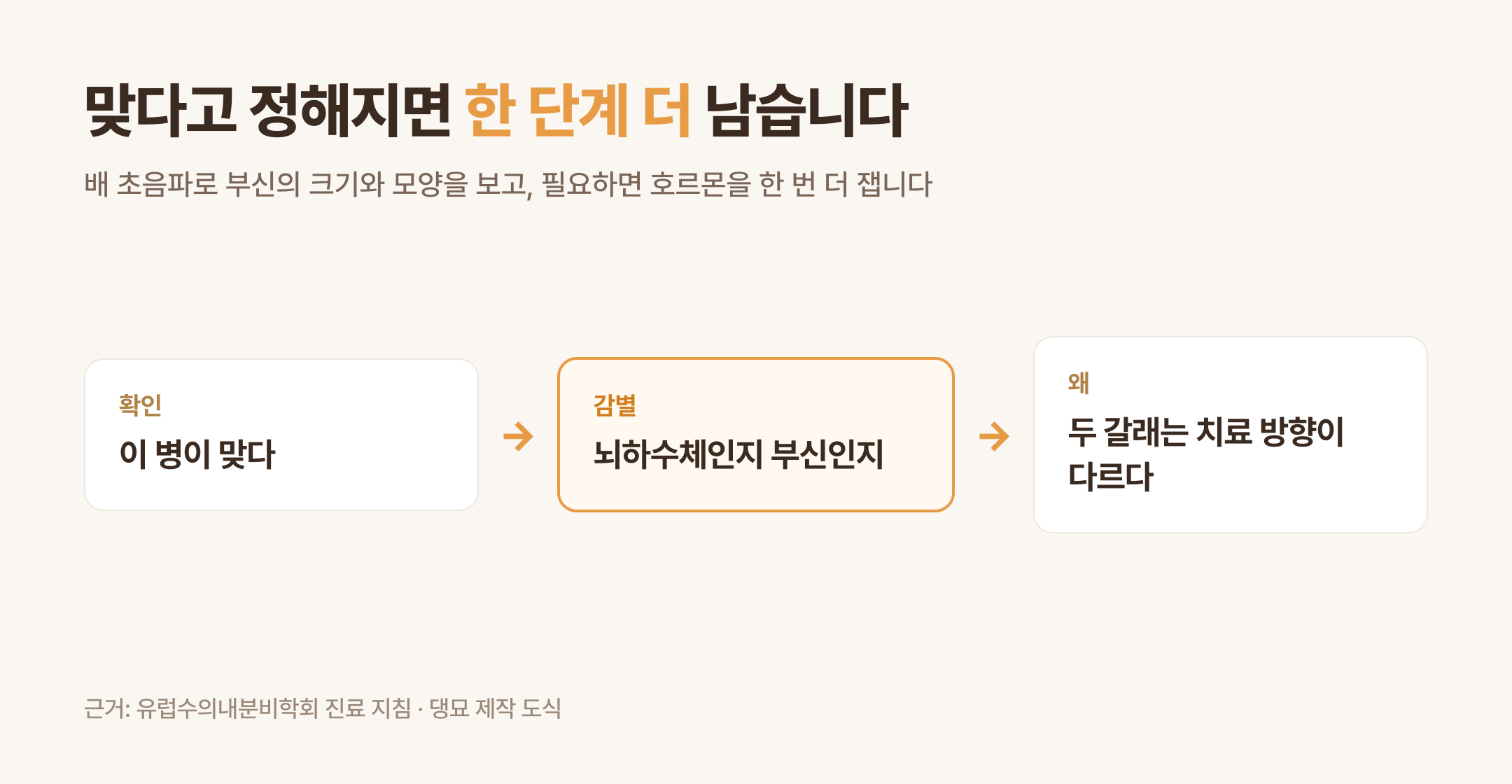 확인 뒤에 남는 감별 단계 (댕묘 제작 도식)