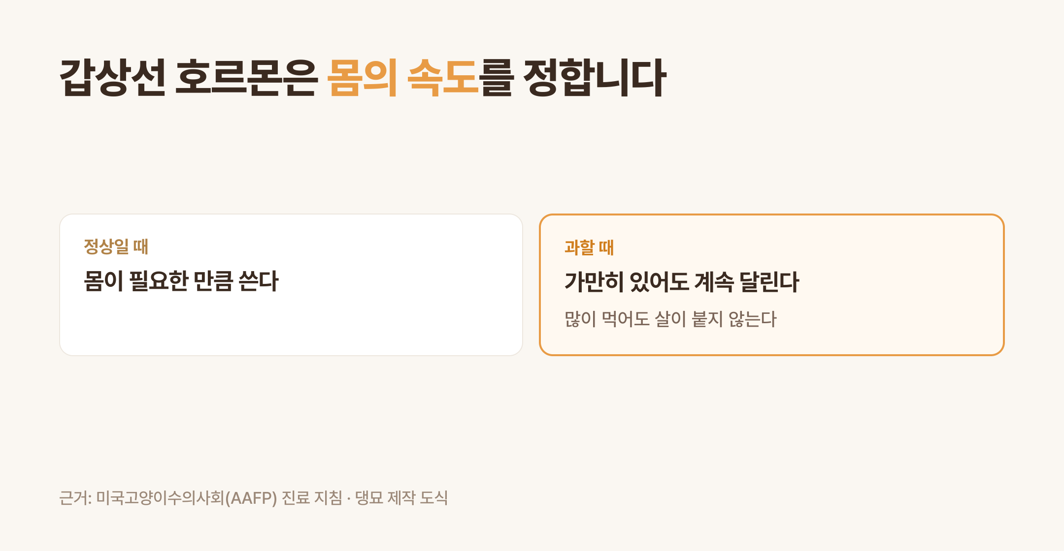 갑상선 호르몬은 몸의 속도를 정한다 (댕묘 제작 도식)