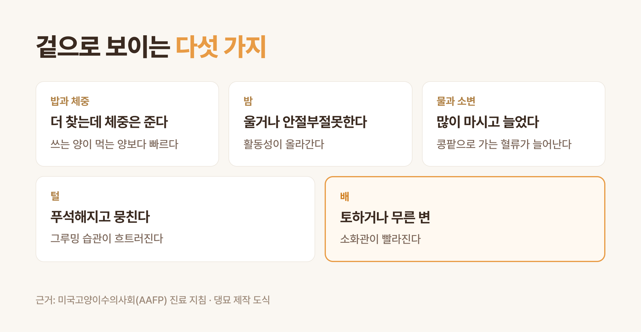 겉으로 보이는 증상 다섯 가지 (댕묘 제작 도식)