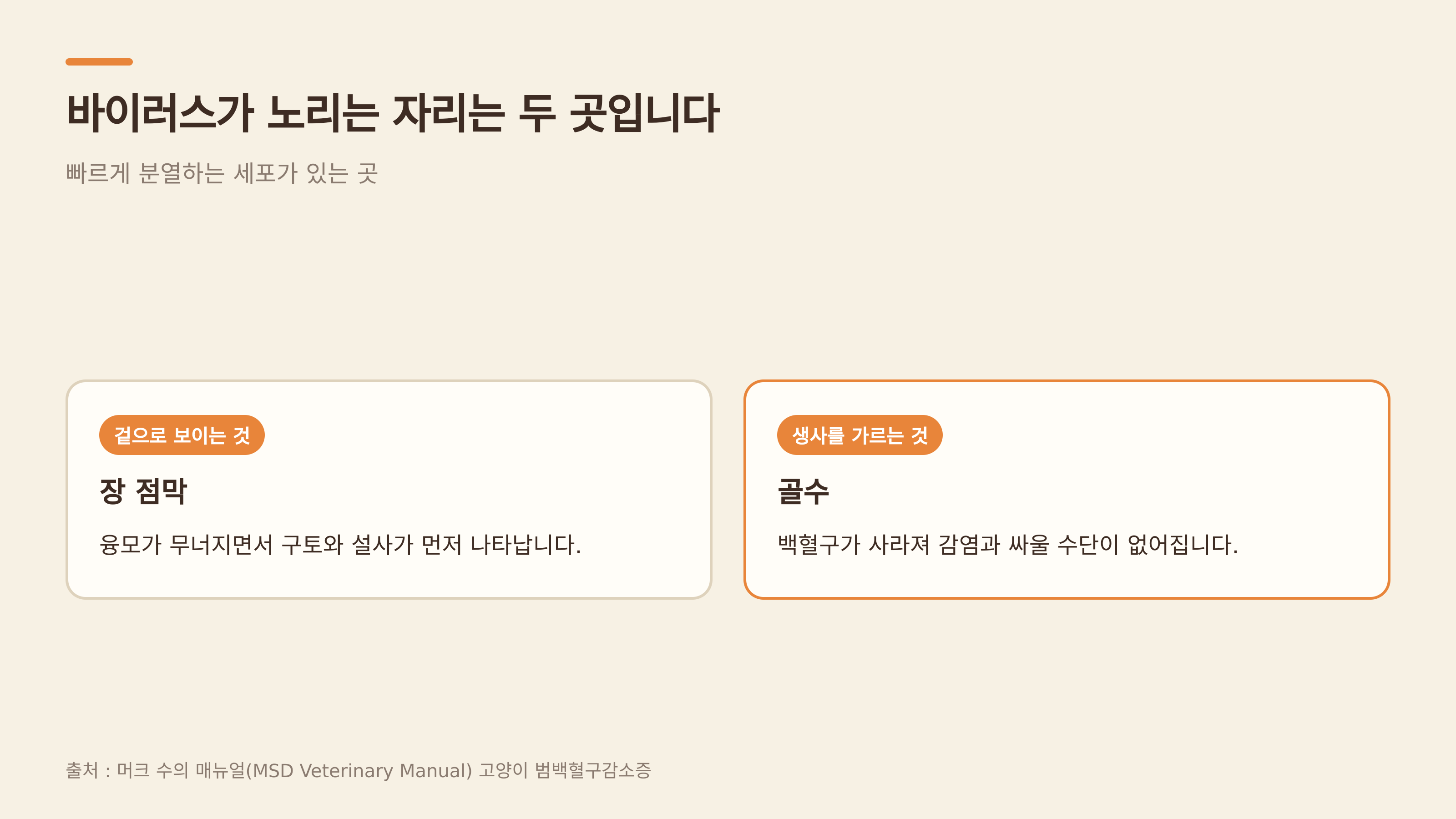 바이러스가 노리는 두 자리 — 장 점막과 골수 (출처 : 머크 수의 매뉴얼)