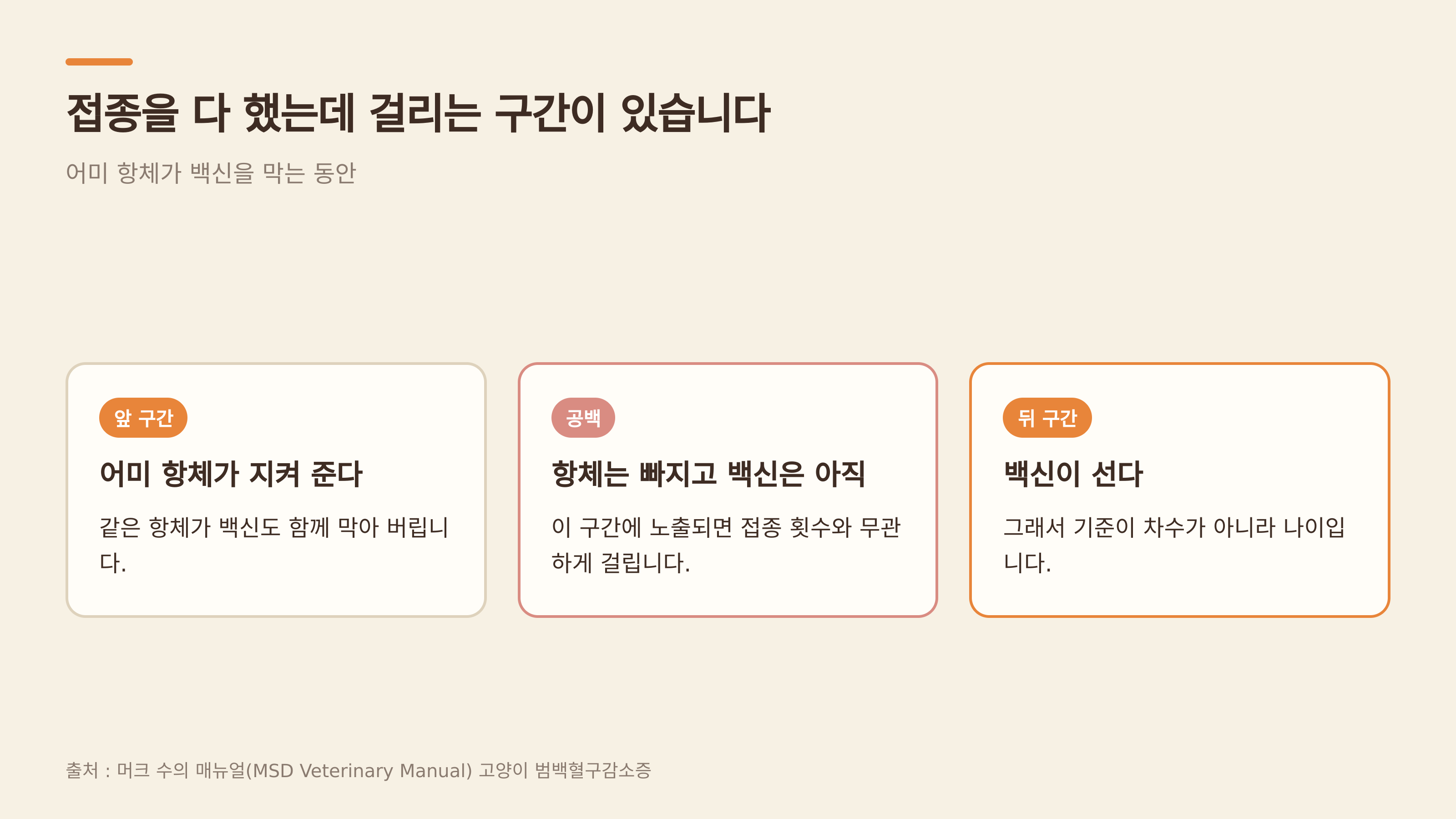어미 항체와 백신 사이의 공백 구간 (출처 : 머크 수의 매뉴얼)