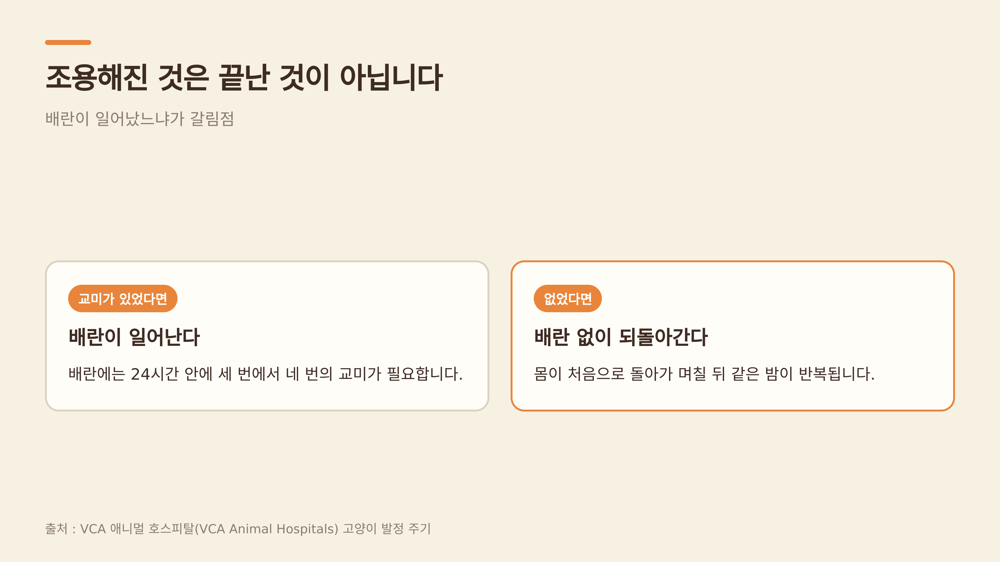 배란이 없으면 주기가 되돌아간다 (출처 : VCA 애니멀 호스피털)