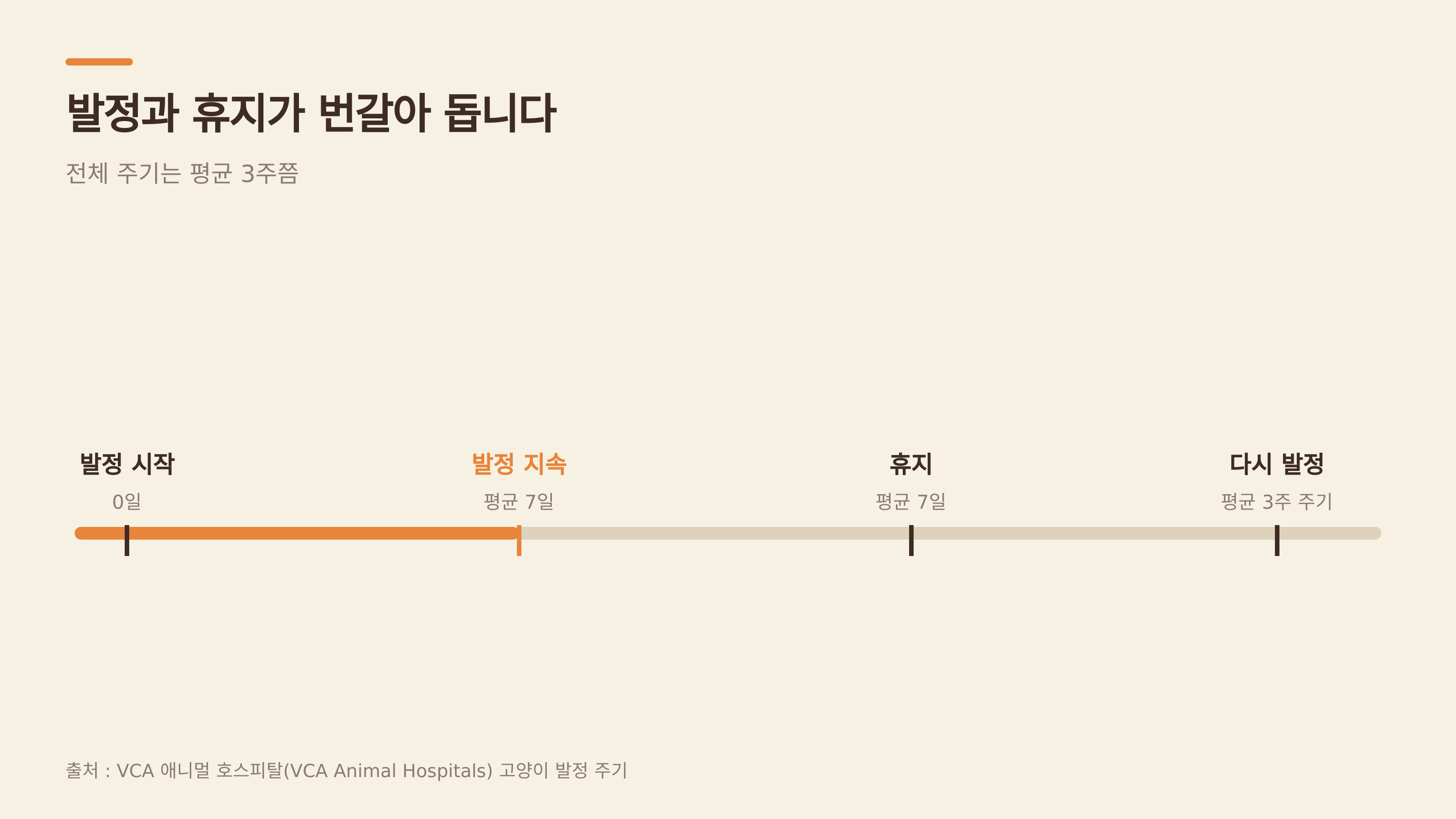 발정과 휴지 타임라인 — 평균 3주 주기 (출처 : VCA 애니멀 호스피털)