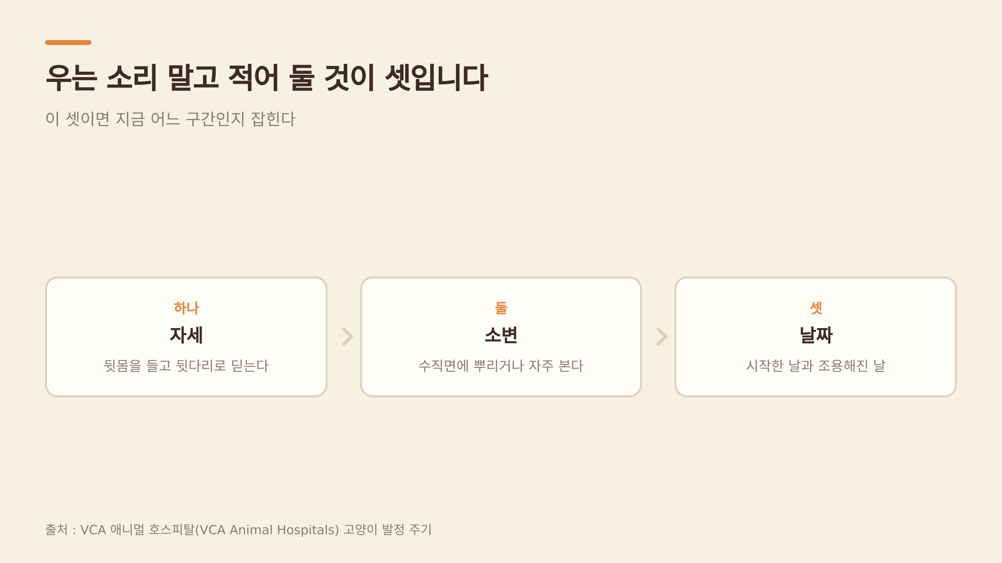 적어 둘 것 셋 — 자세·소변·날짜 (출처 : VCA 애니멀 호스피털)