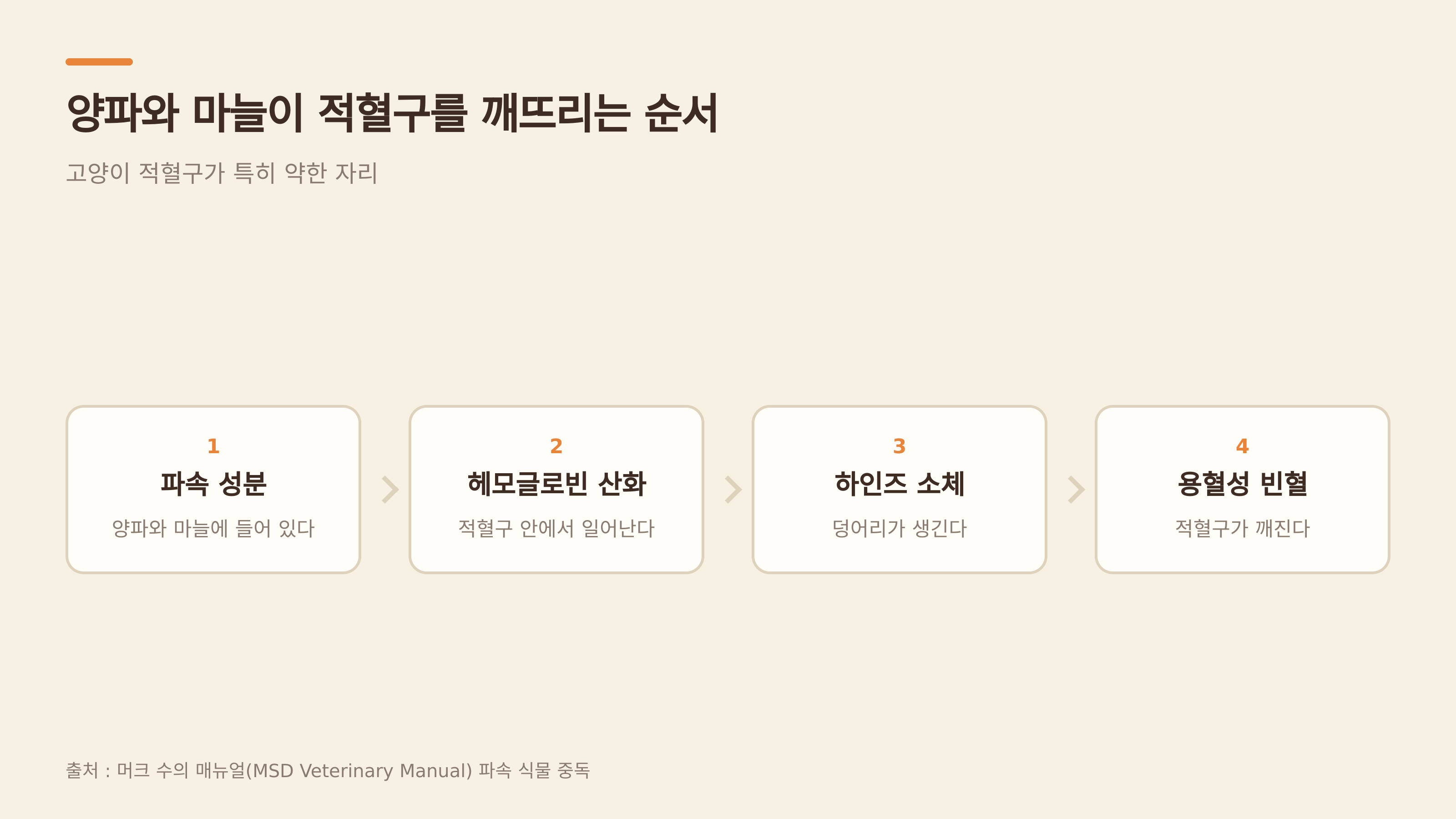 파속 성분이 적혈구를 깨뜨리는 순서 (출처 : 머크 수의 매뉴얼)