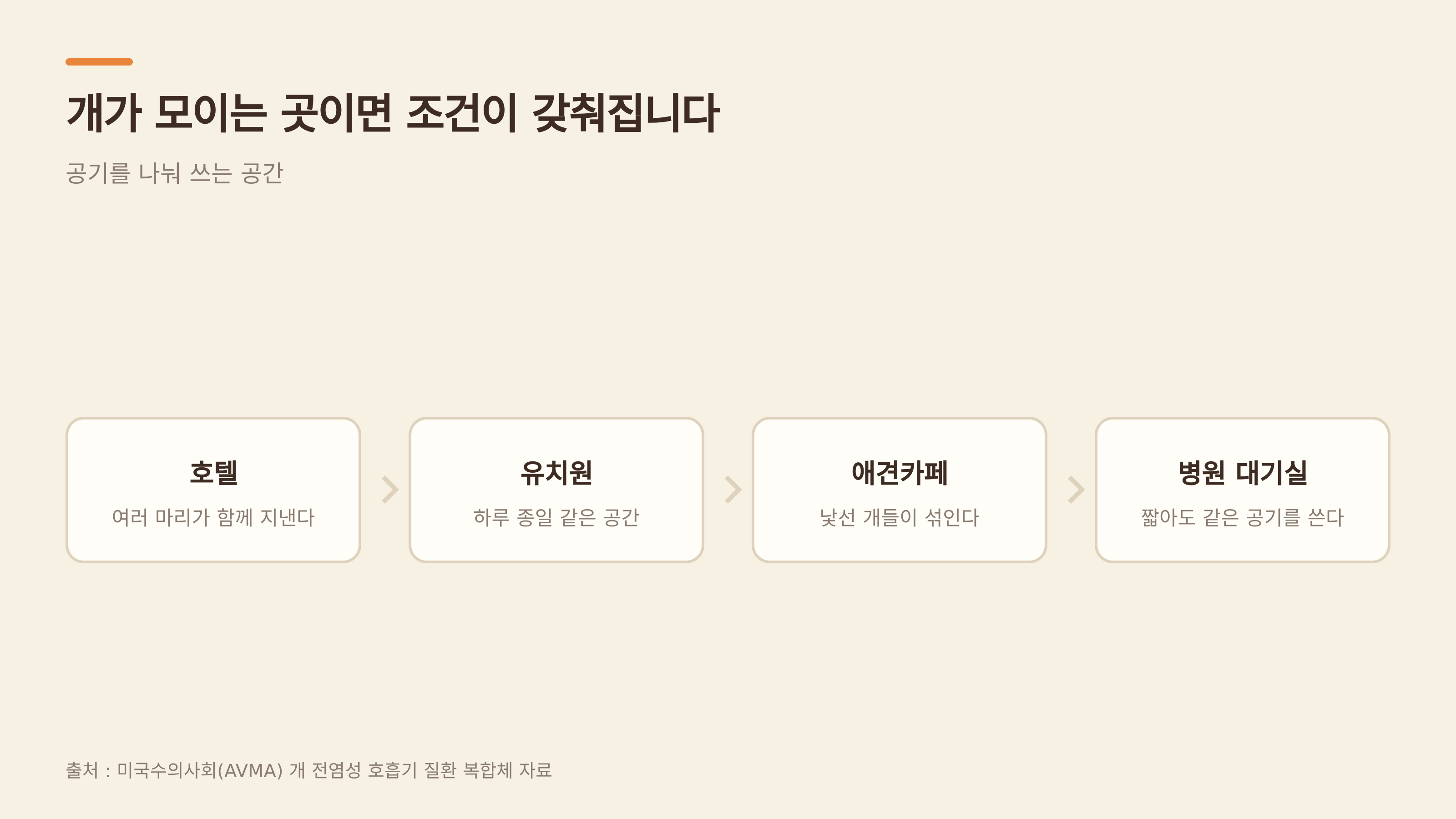 개가 모이는 곳이면 조건이 갖춰진다 (출처 : 미국수의사회 AVMA)