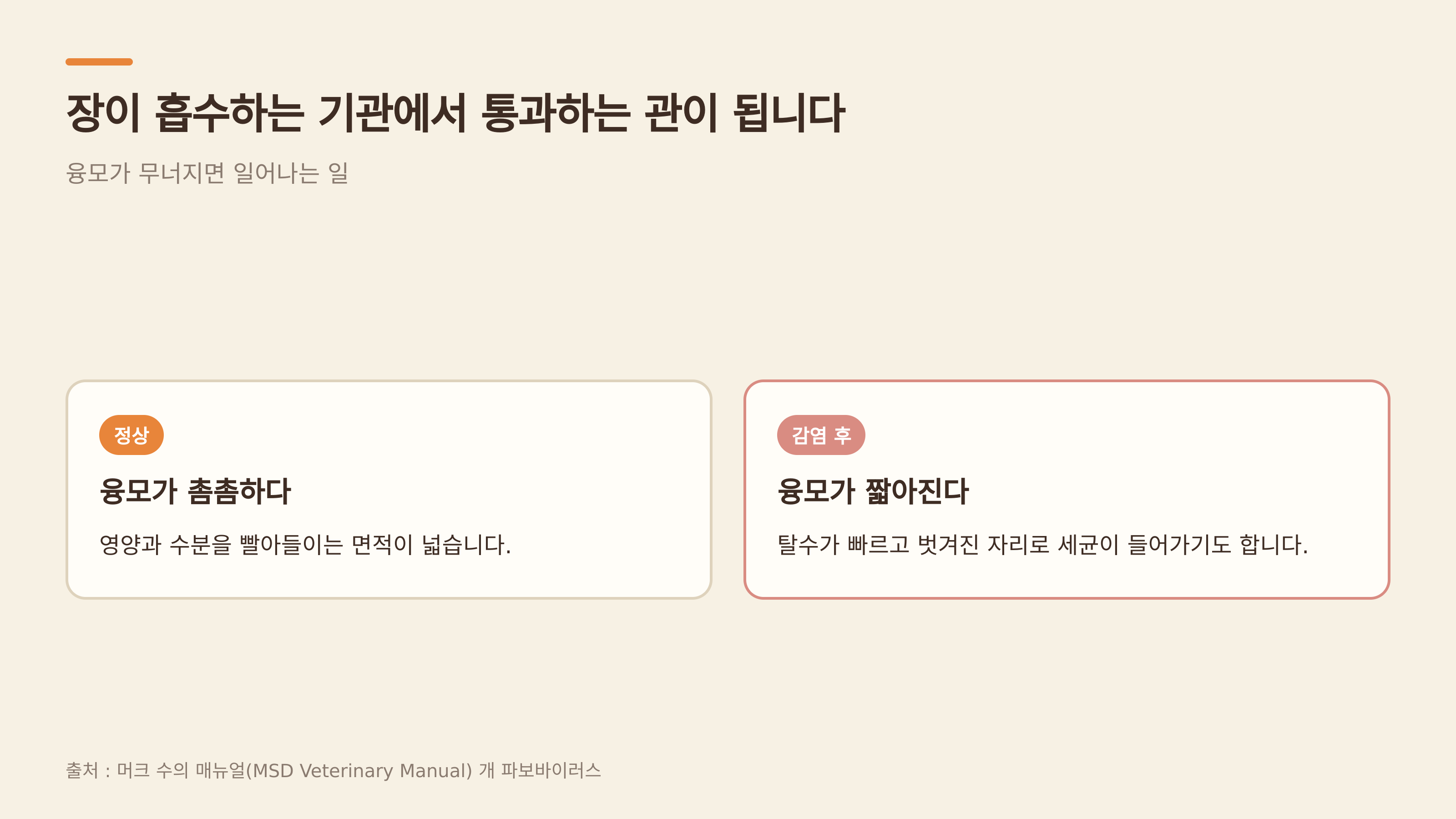 융모가 무너지면 일어나는 일 (출처 : 머크 수의 매뉴얼)