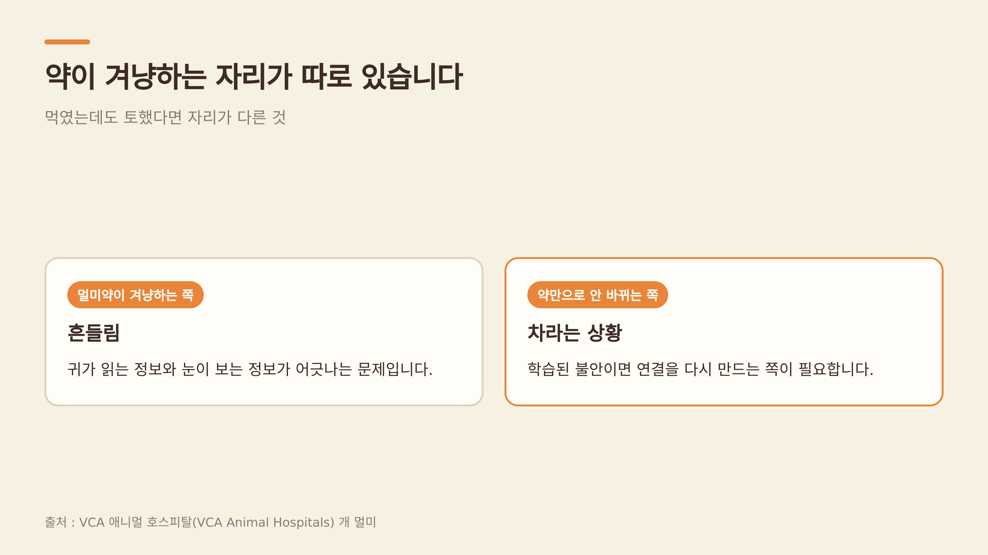 약이 겨냥하는 자리가 따로 있다 (출처 : VCA 애니멀 호스피털)