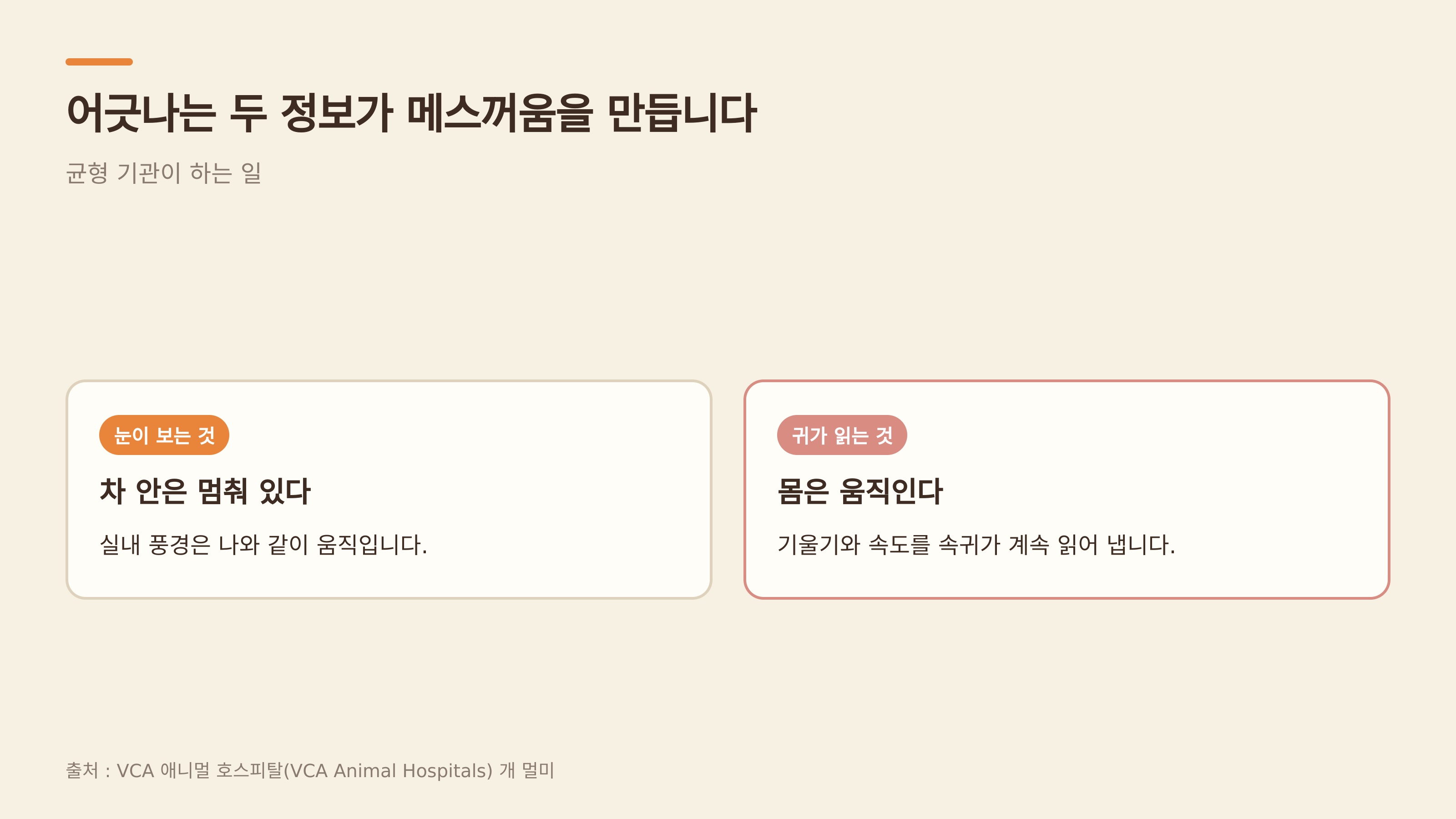 어긋나는 두 정보가 메스꺼움을 만든다 (출처 : VCA 애니멀 호스피털)