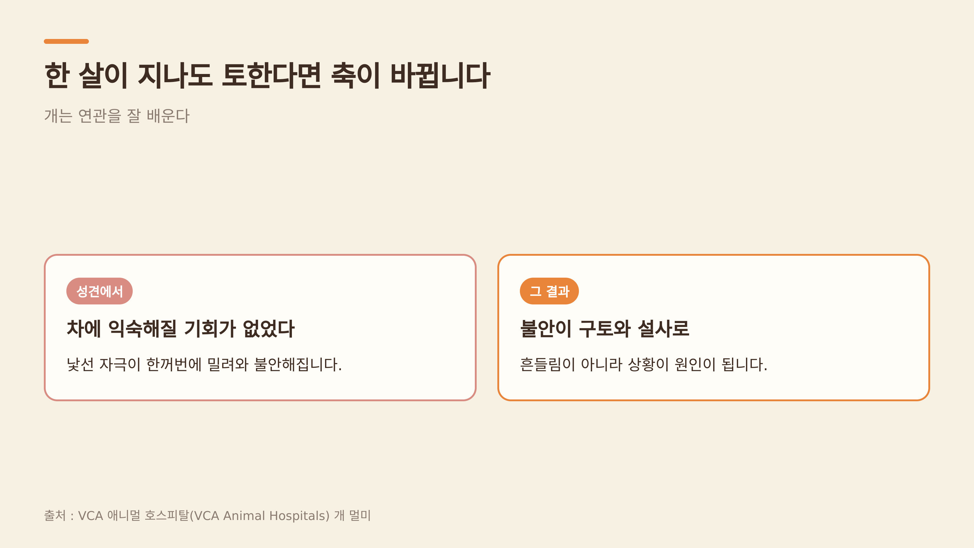한 살이 지나도 토한다면 축이 바뀜다 (출처 : VCA 애니멀 호스피털)