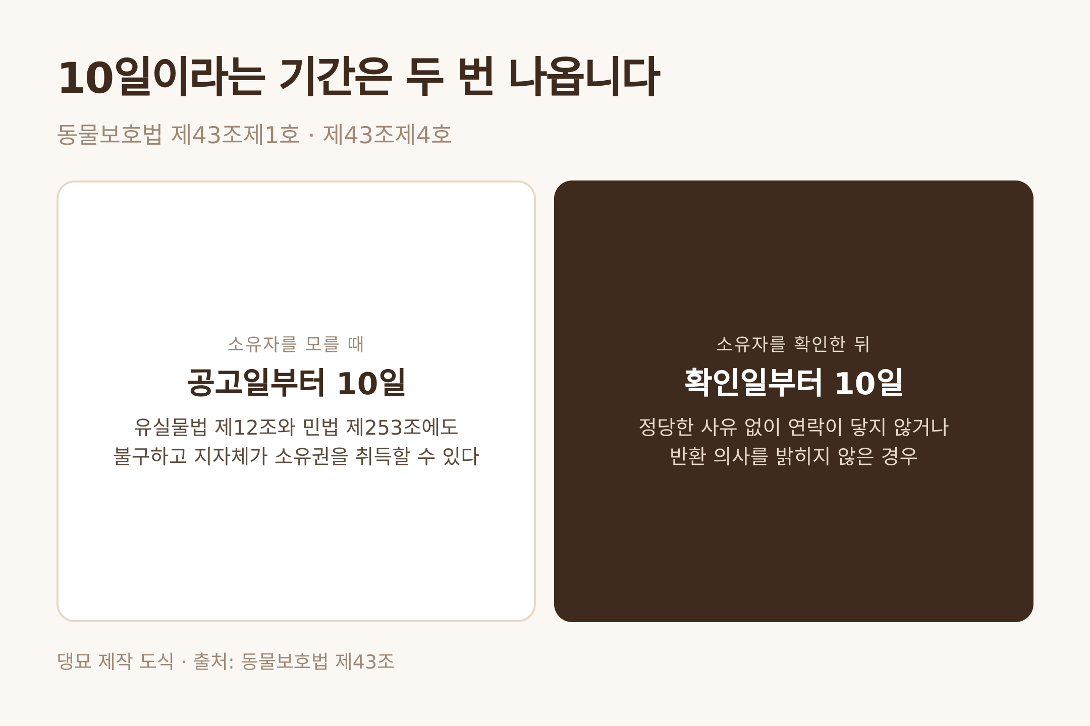 댕묘 제작 도식 · 출처: 동물보호법 제43조