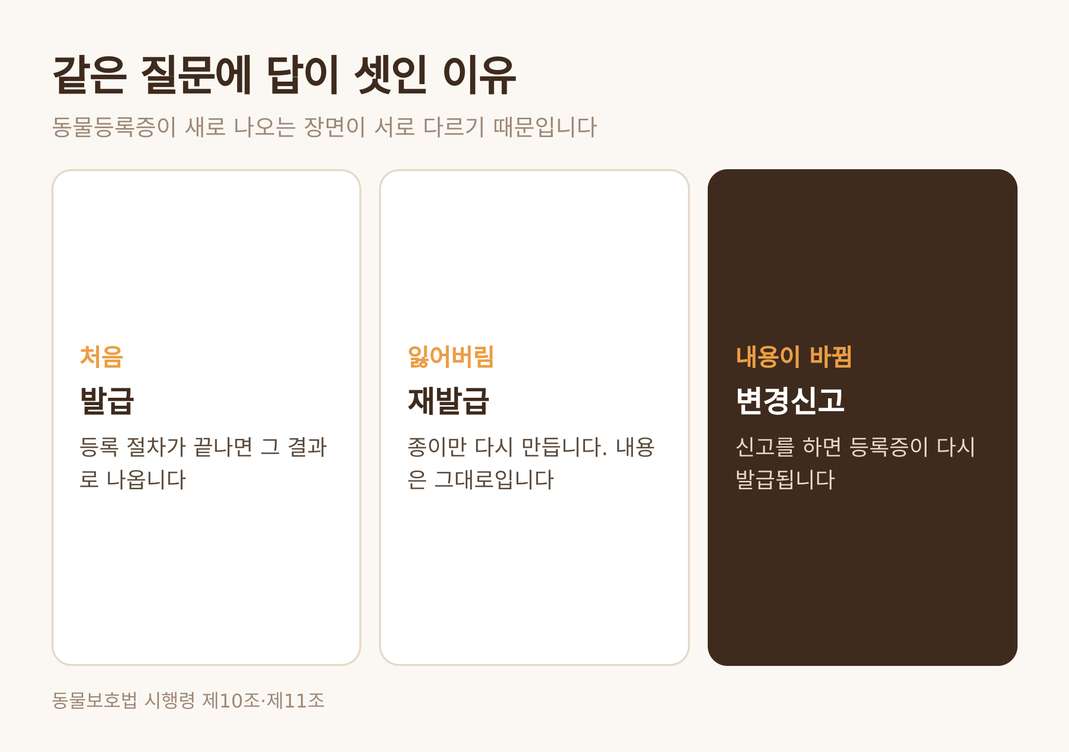 발급·재발급·변경신고가 갈리는 세 장면 (댕묘 제작 도식)