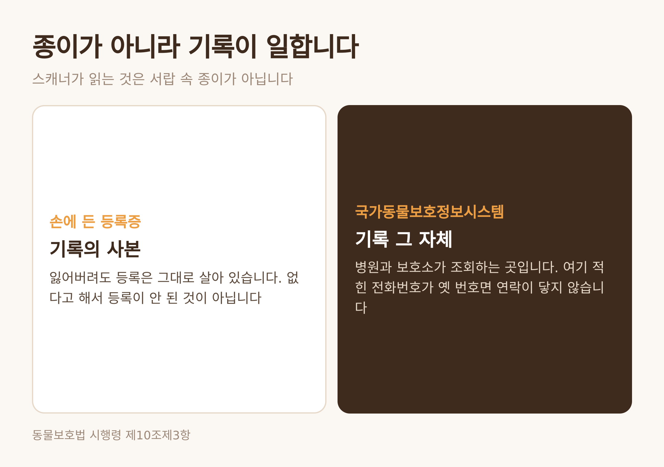 손에 든 등록증과 시스템 기록의 차이 (댕묘 제작 도식)