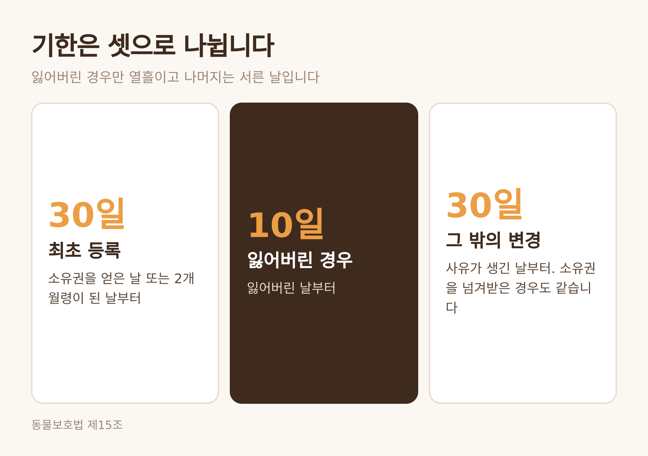 최초 등록·분실신고·그 밖의 변경에 적용되는 기한 (댕묘 제작 도식)