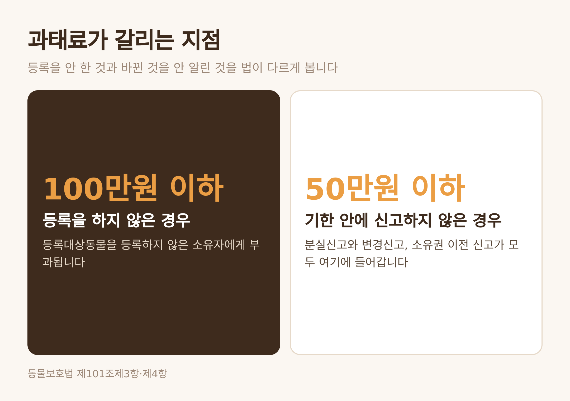 미등록과 신고 지연에 각각 적용되는 과태료 상한 (댕묘 제작 도식)