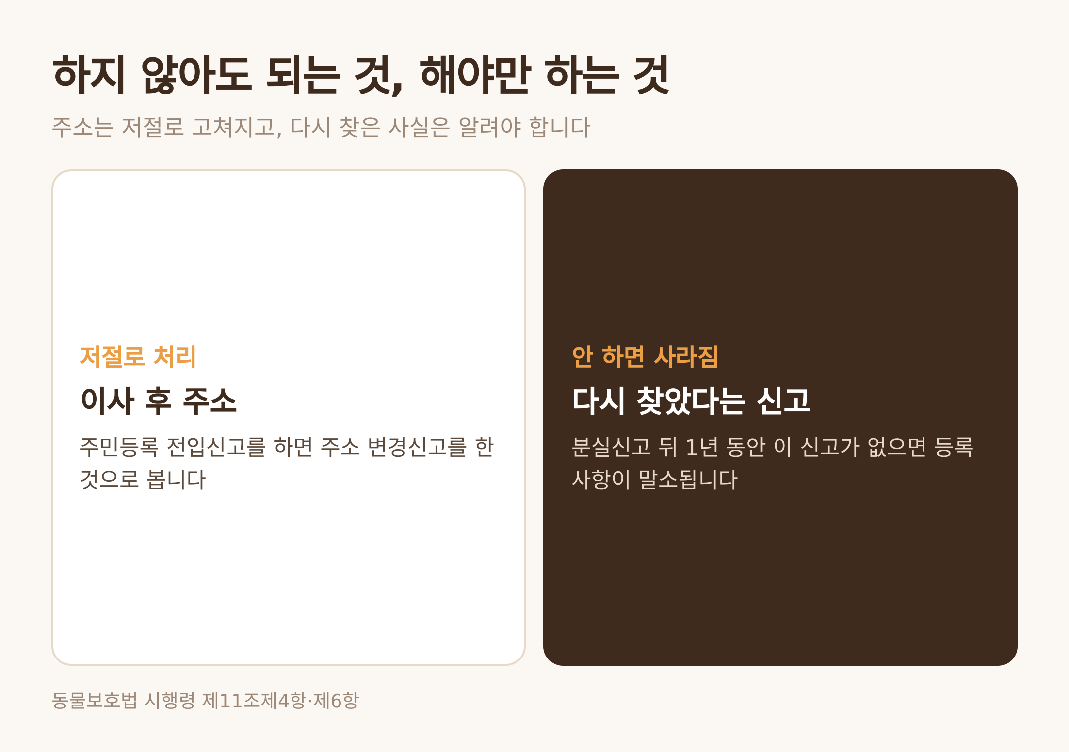 전입신고로 자동 정정되는 주소와 반드시 해야 하는 신고 (댕묘 제작 도식)