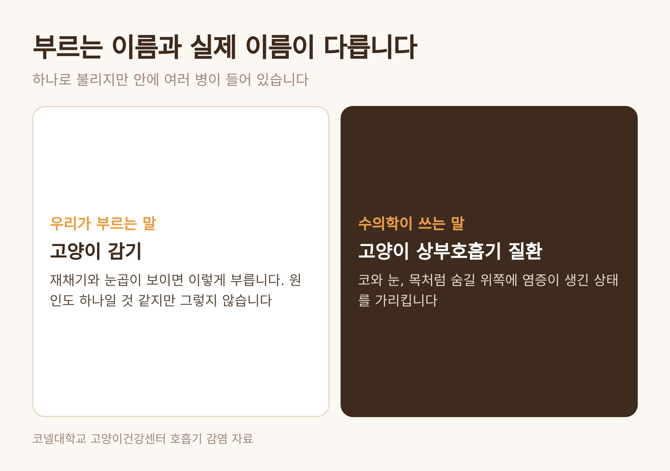 부르는 이름과 수의학이 쓰는 이름의 차이 (댕묘 제작 도식)
