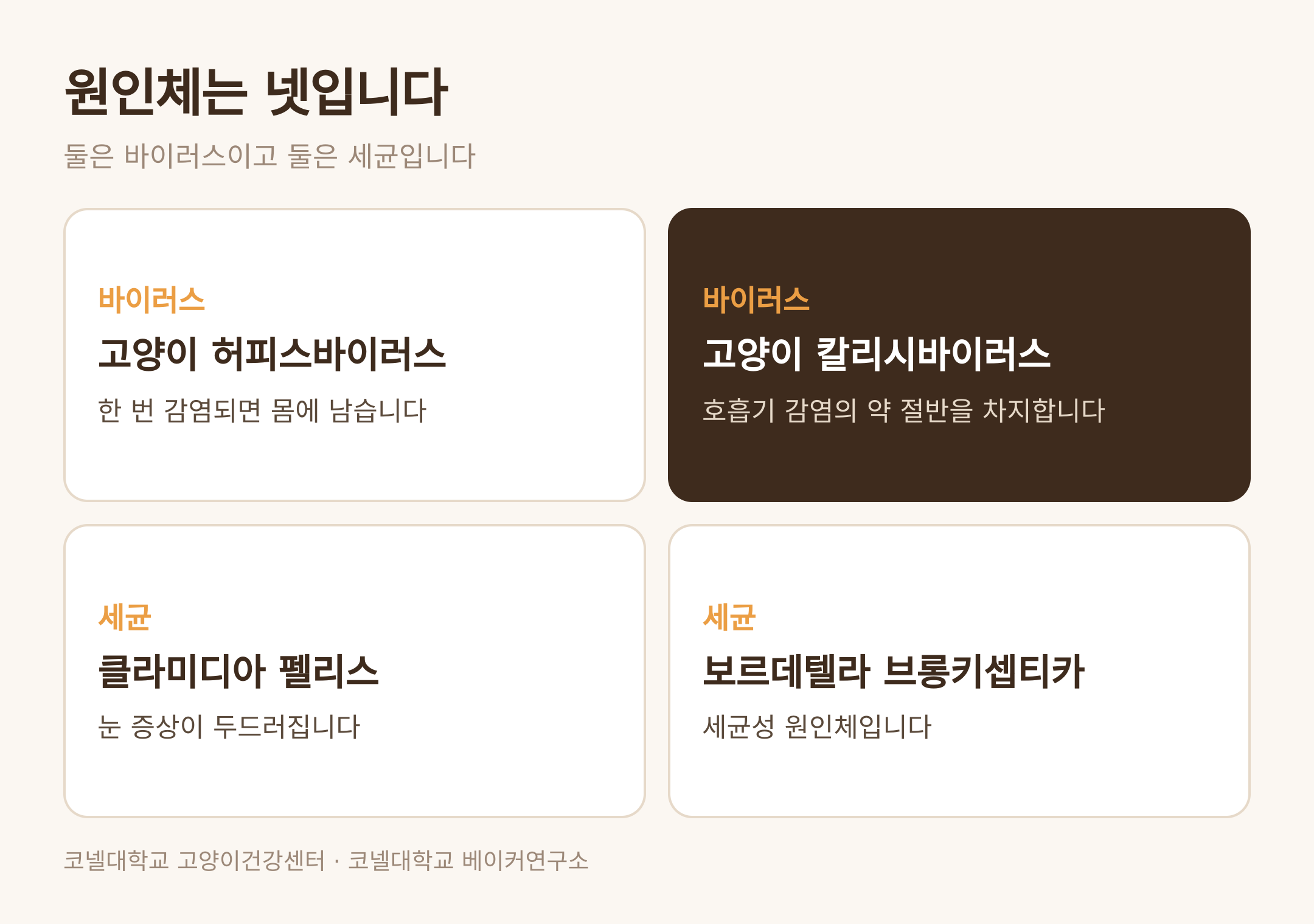 고양이 상부호흡기 질환을 일으키는 원인체 네 가지 (댕묘 제작 도식)