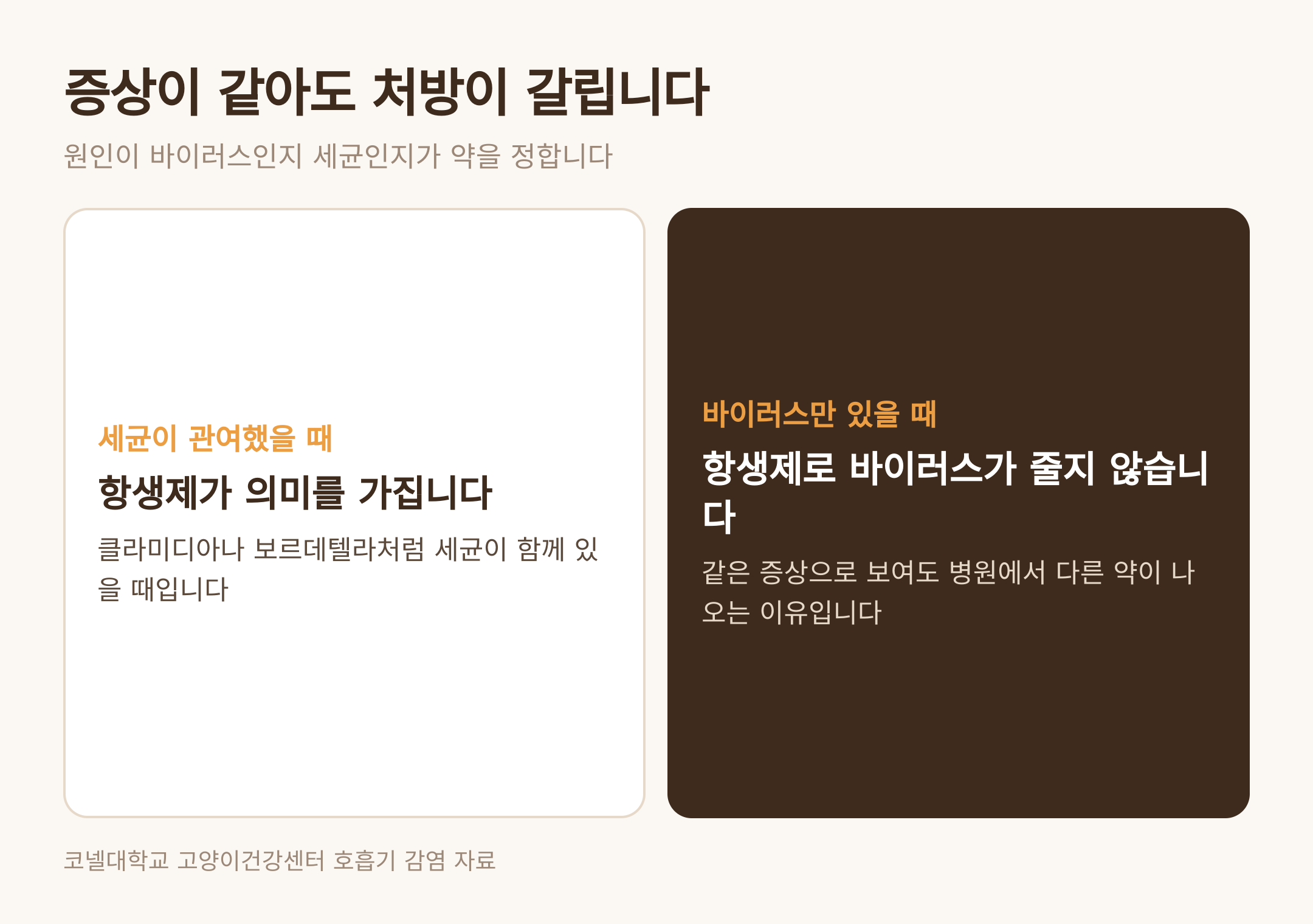 원인이 바이러스인지 세균인지에 따라 갈리는 처방 (댕묘 제작 도식)