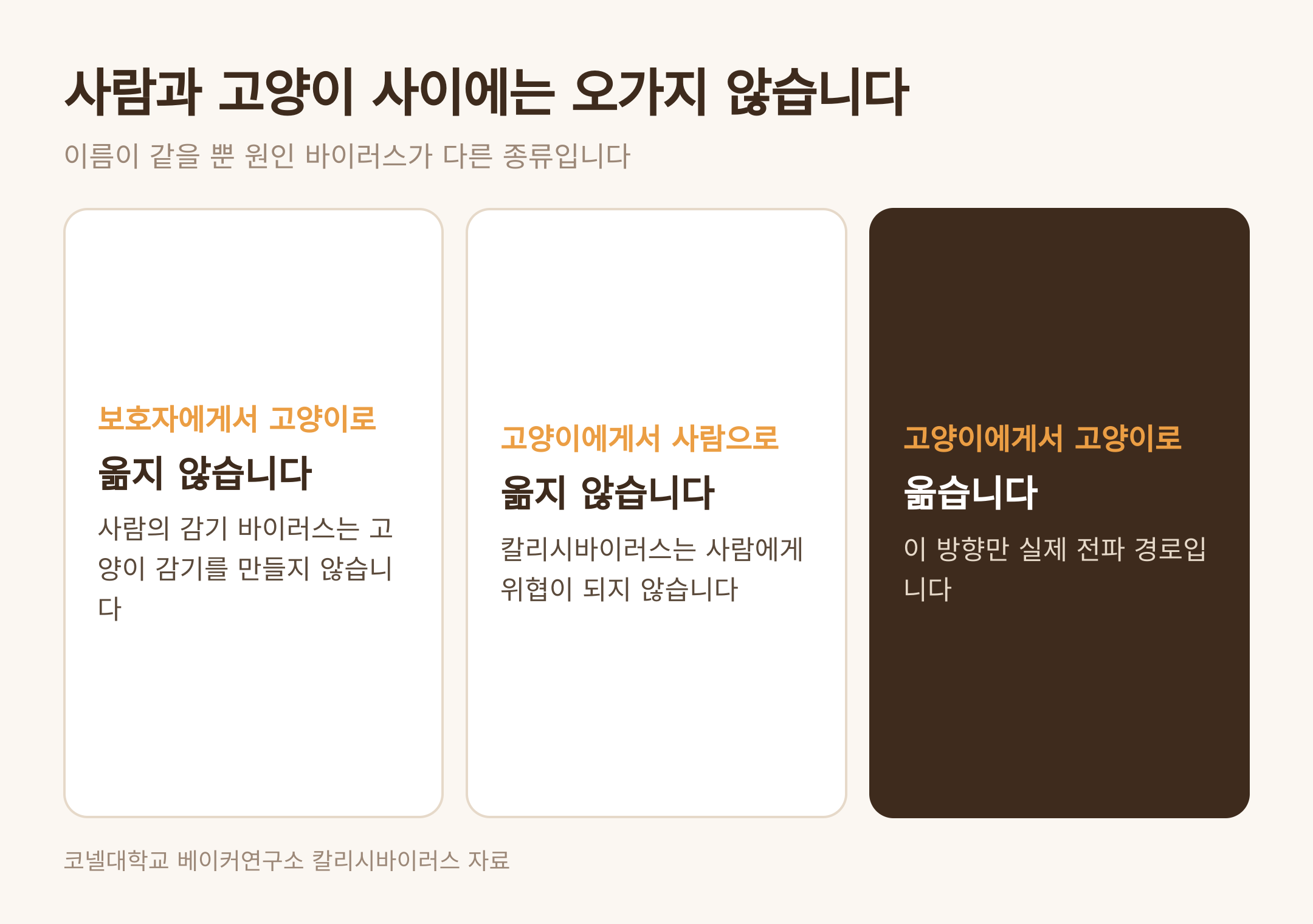 사람과 고양이 사이에서 오가지 않는 전파 방향 (댕묘 제작 도식)