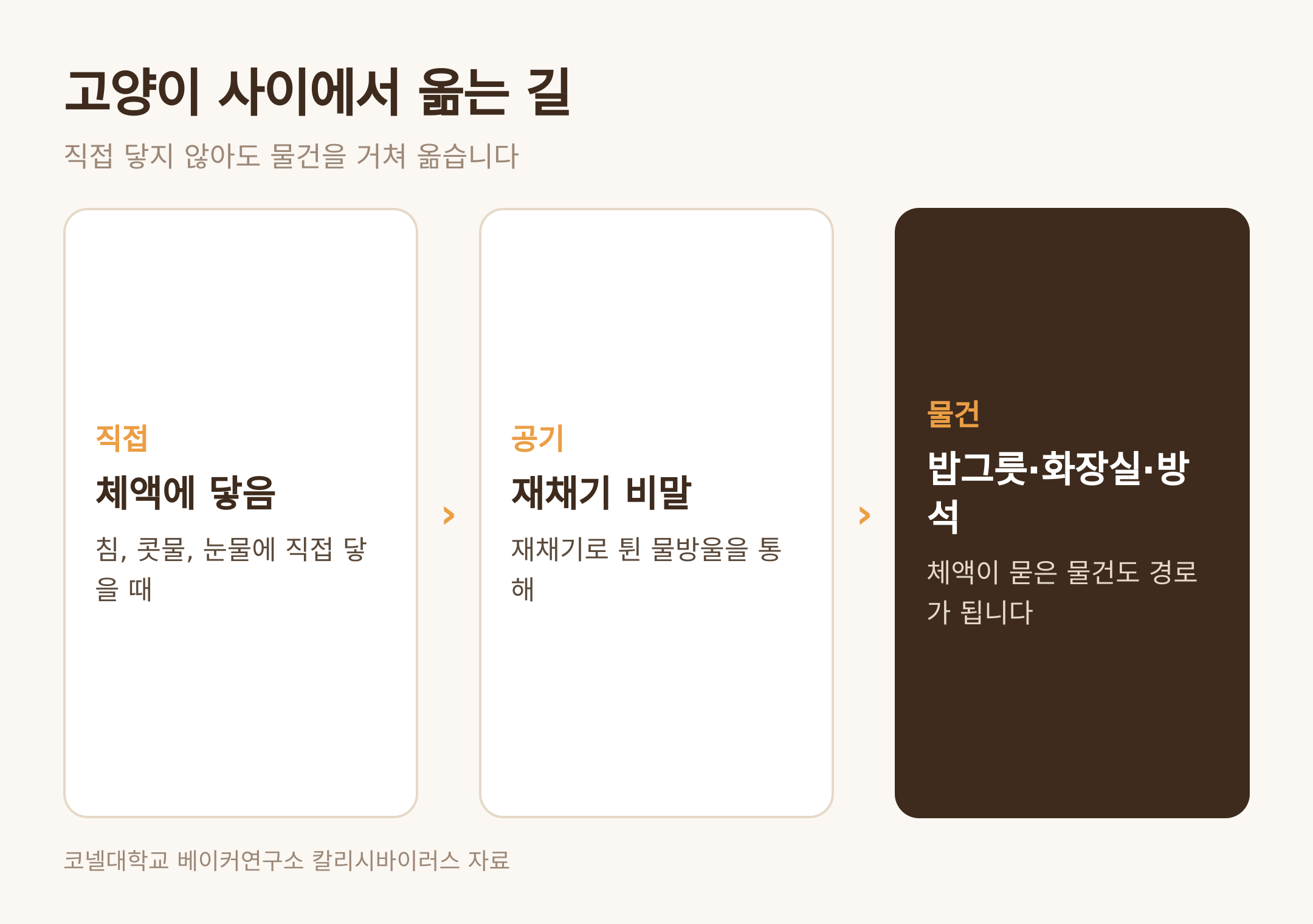 고양이 사이에서 옮는 세 가지 경로 (댕묘 제작 도식)