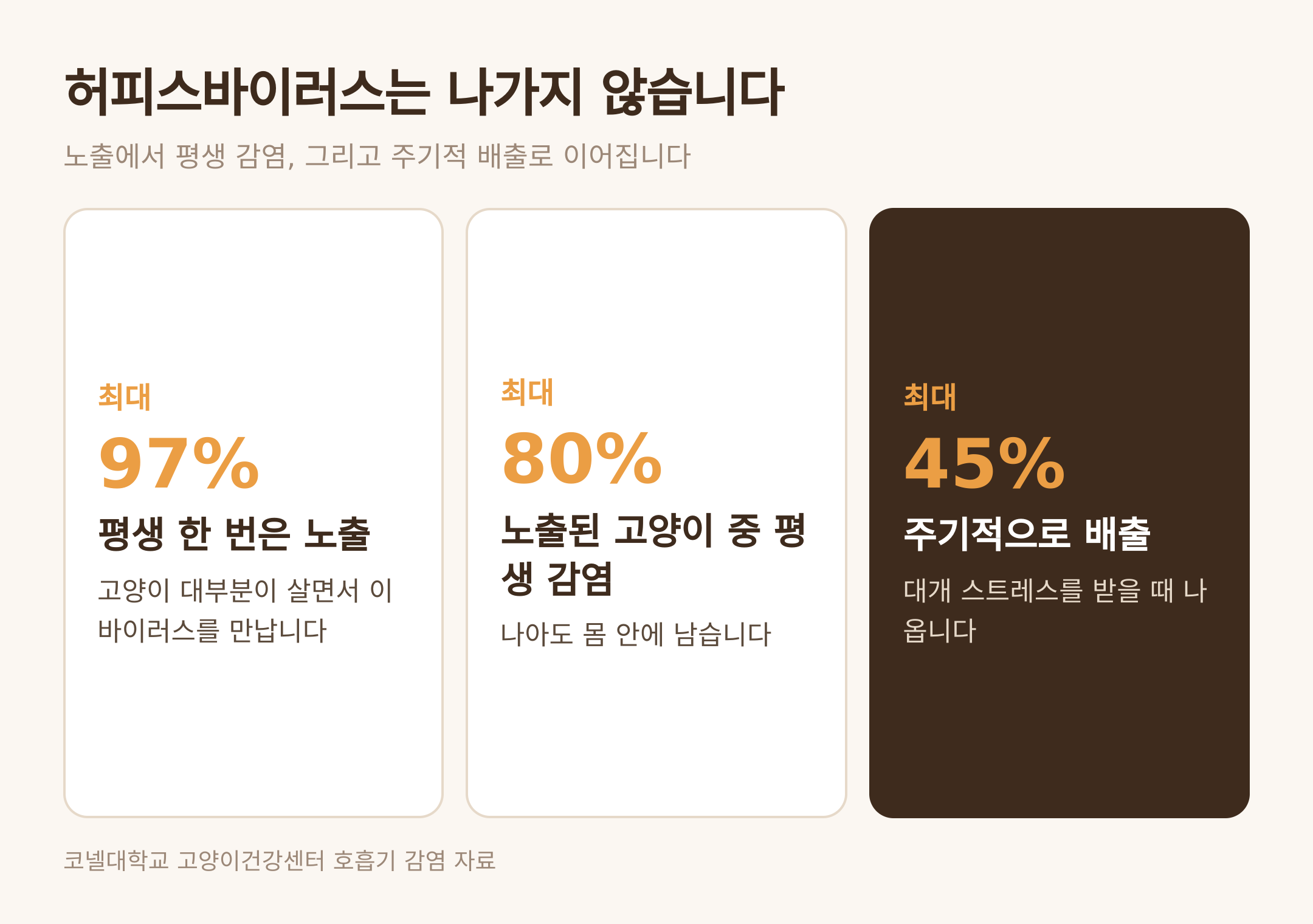 허피스바이러스 노출·평생 감염·주기적 배출 비율 (댕묘 제작 도식)