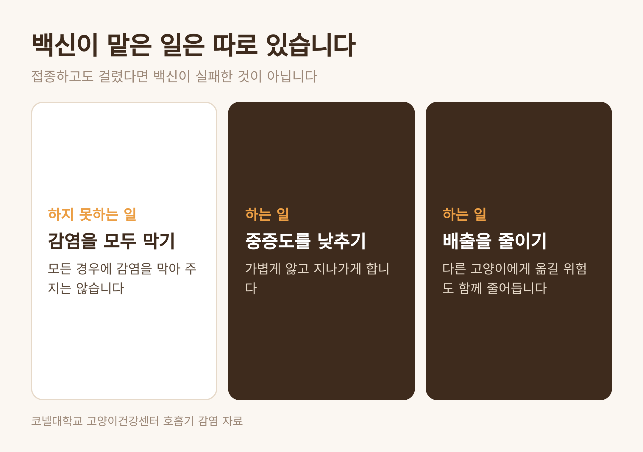 백신이 하는 일과 하지 못하는 일 (댕묘 제작 도식)