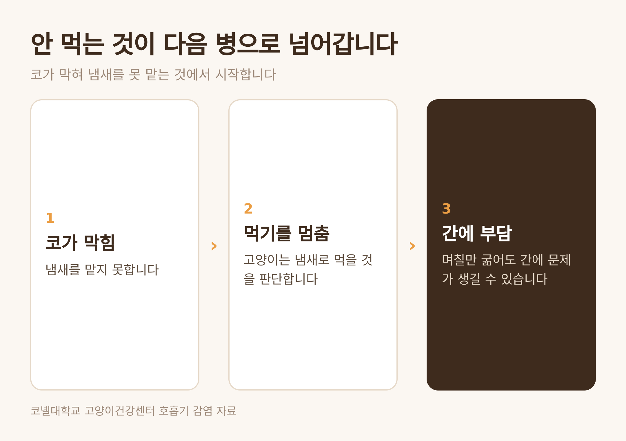 코가 막혀 안 먹는 상태가 간으로 넘어가는 흐름 (댕묘 제작 도식)