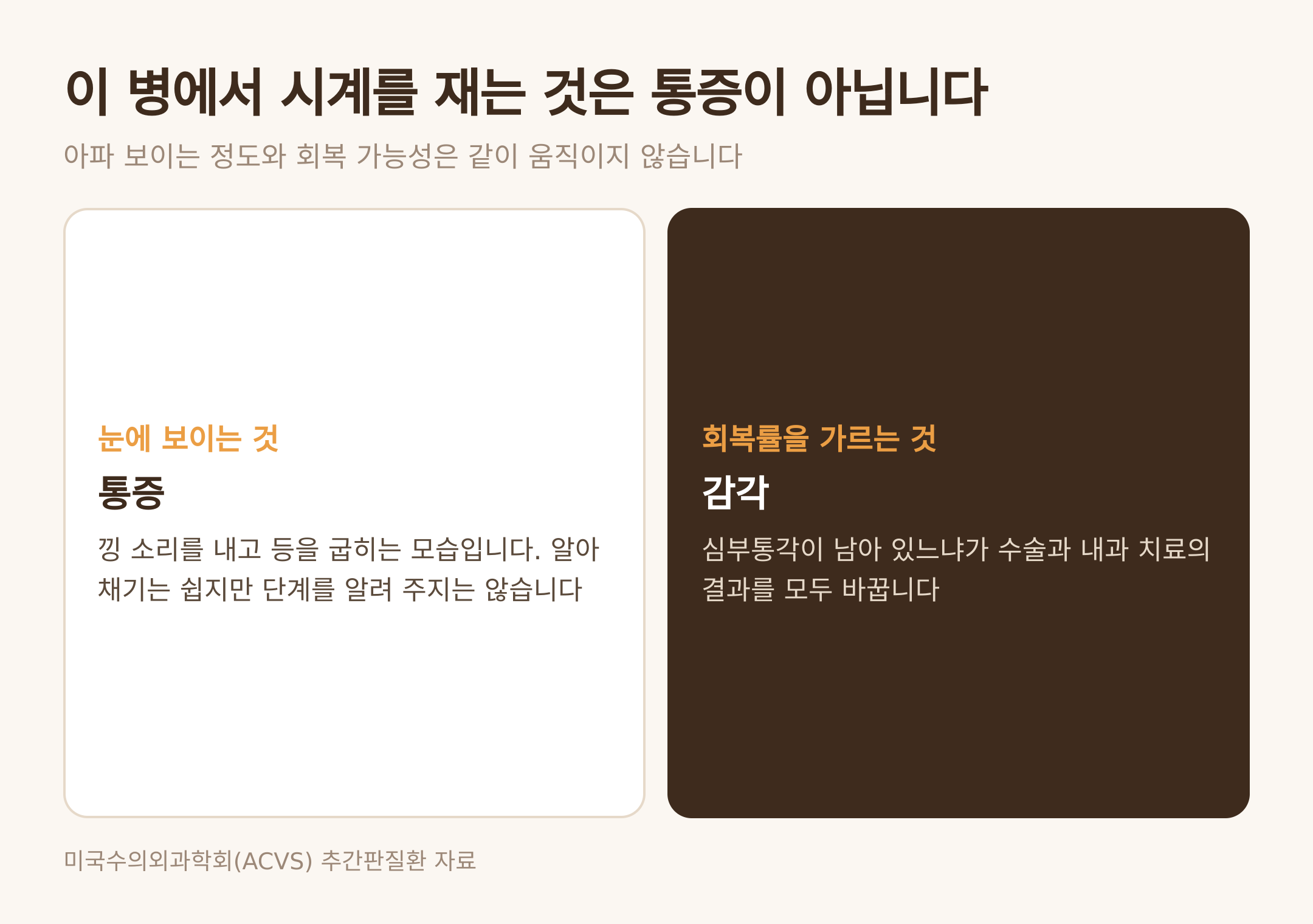 회복률을 가르는 것은 통증이 아니라 감각이다 (댕묘 제작 도식)