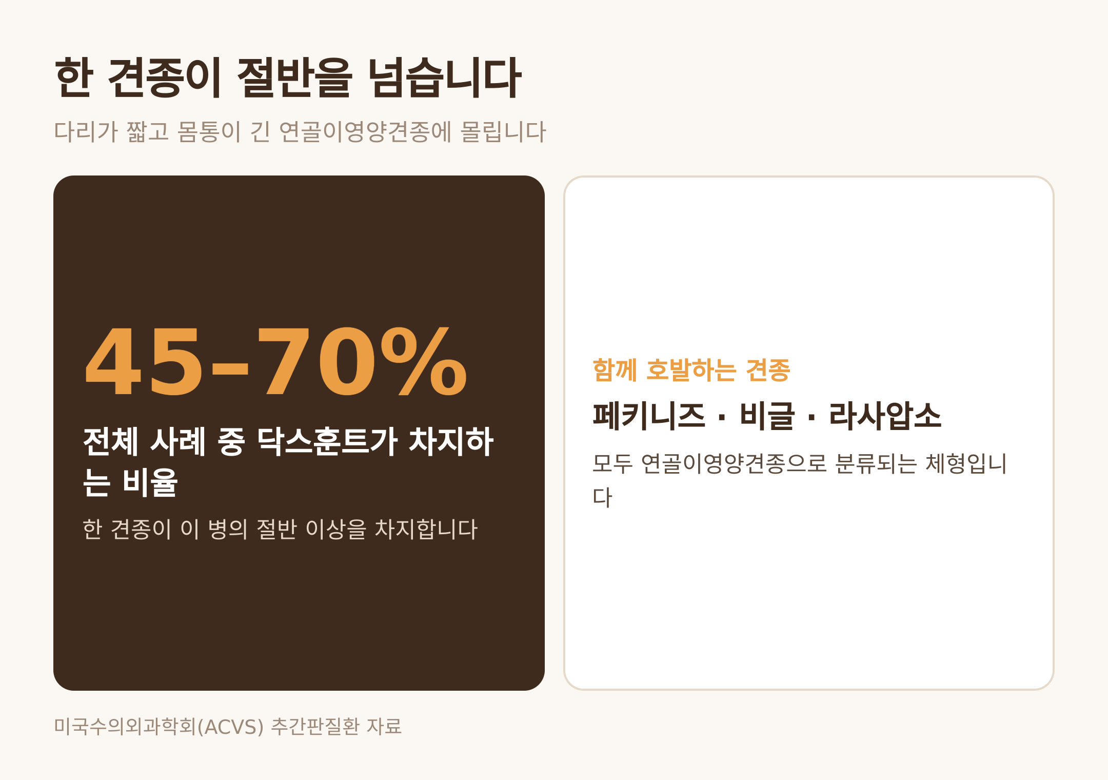 전체 사례 중 닥스훈트가 차지하는 비율 (댕묘 제작 도식)