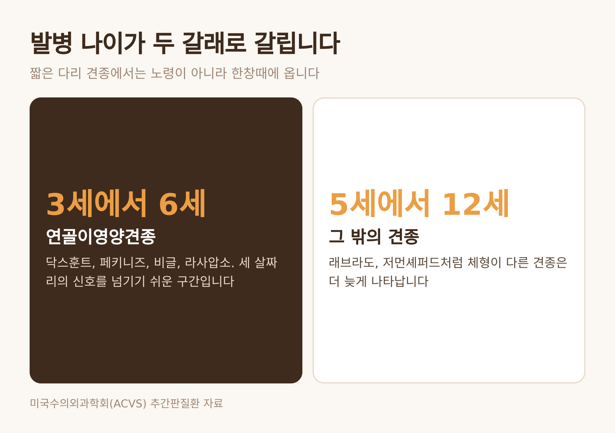 견종 체형에 따라 갈리는 발병 연령대 (댕묘 제작 도식)