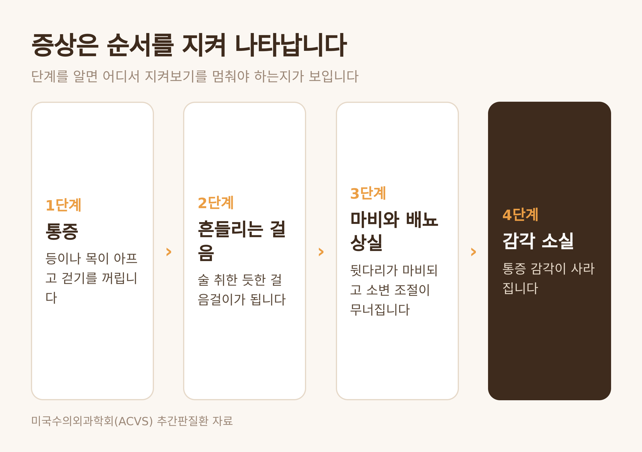 신경 증상이 진행하는 네 단계 (댕묘 제작 도식)