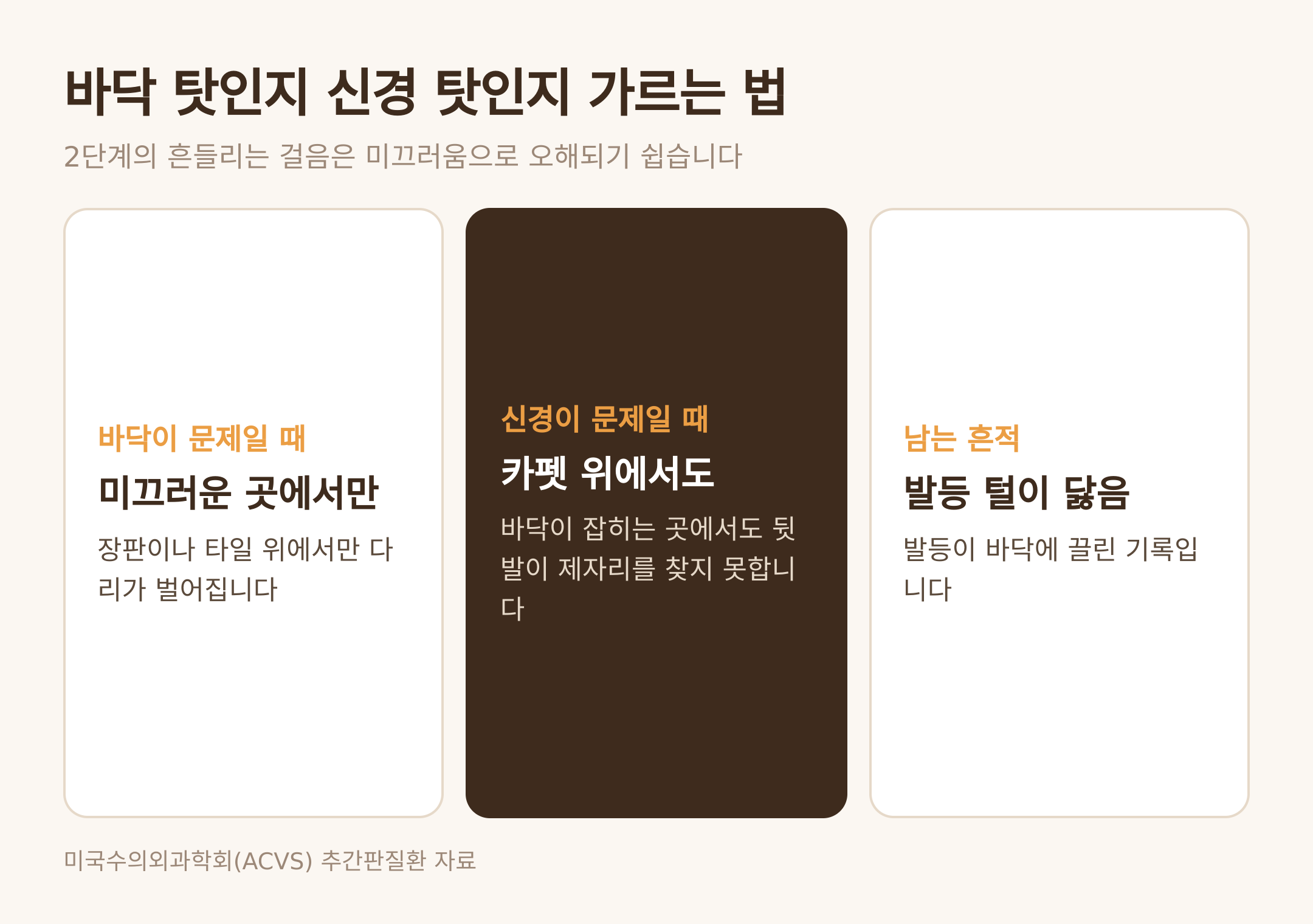 바닥 탓인지 신경 탓인지 가르는 기준 (댕묘 제작 도식)