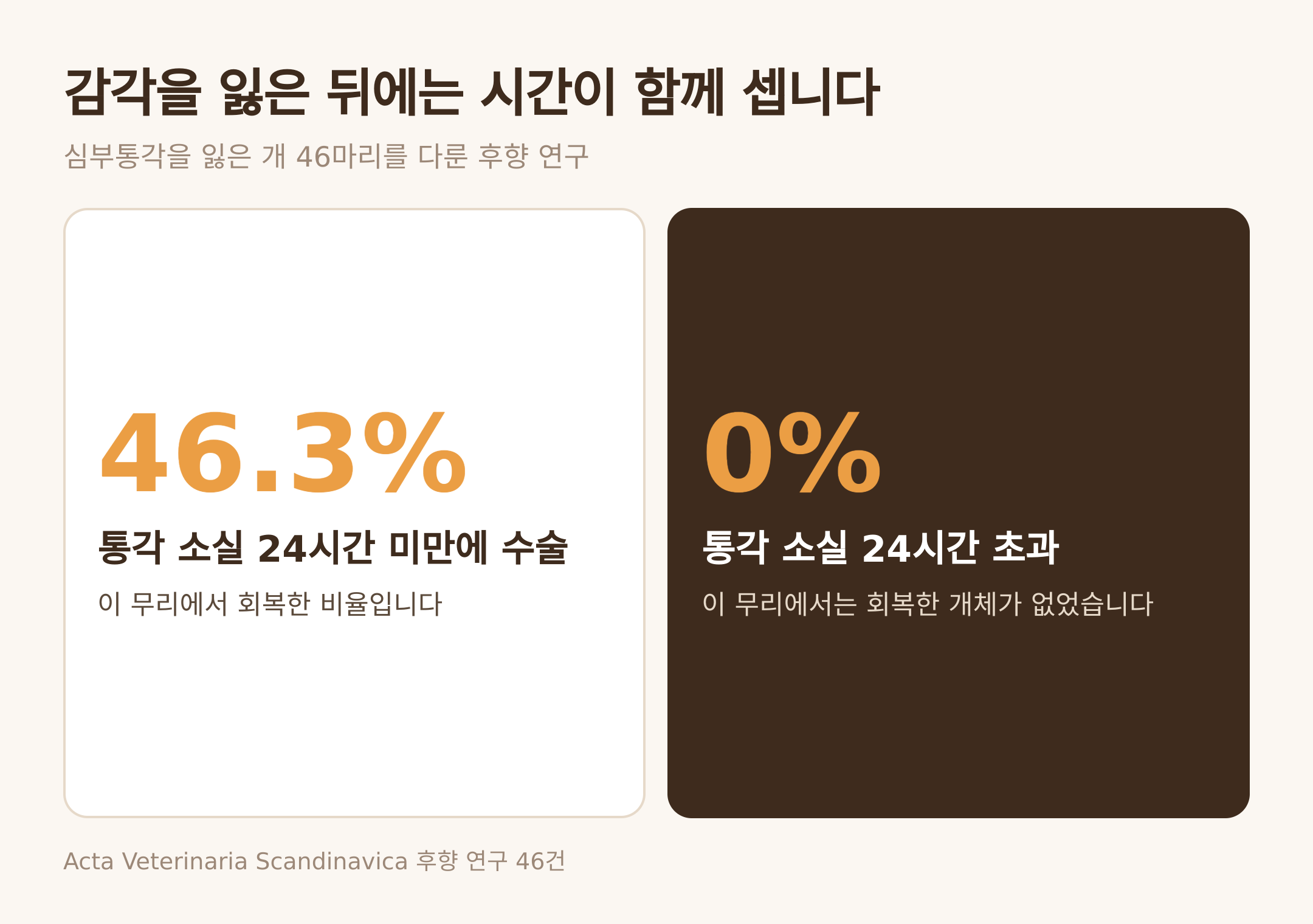 통각 소실 뒤 수술까지 걸린 시간과 회복 비율 (댕묘 제작 도식)