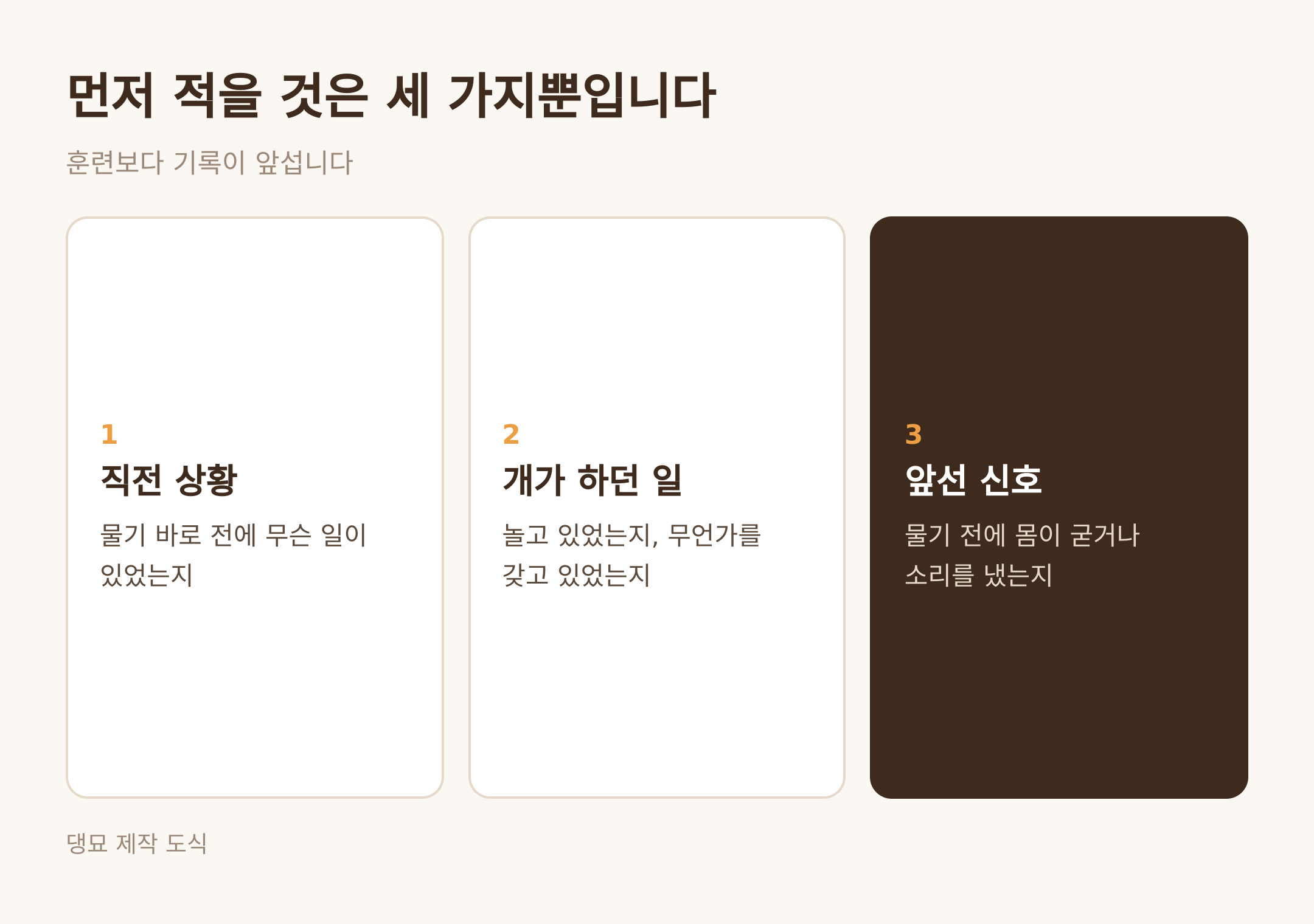 물린 순간에 적을 세 가지 · 댕묘 제작 도식