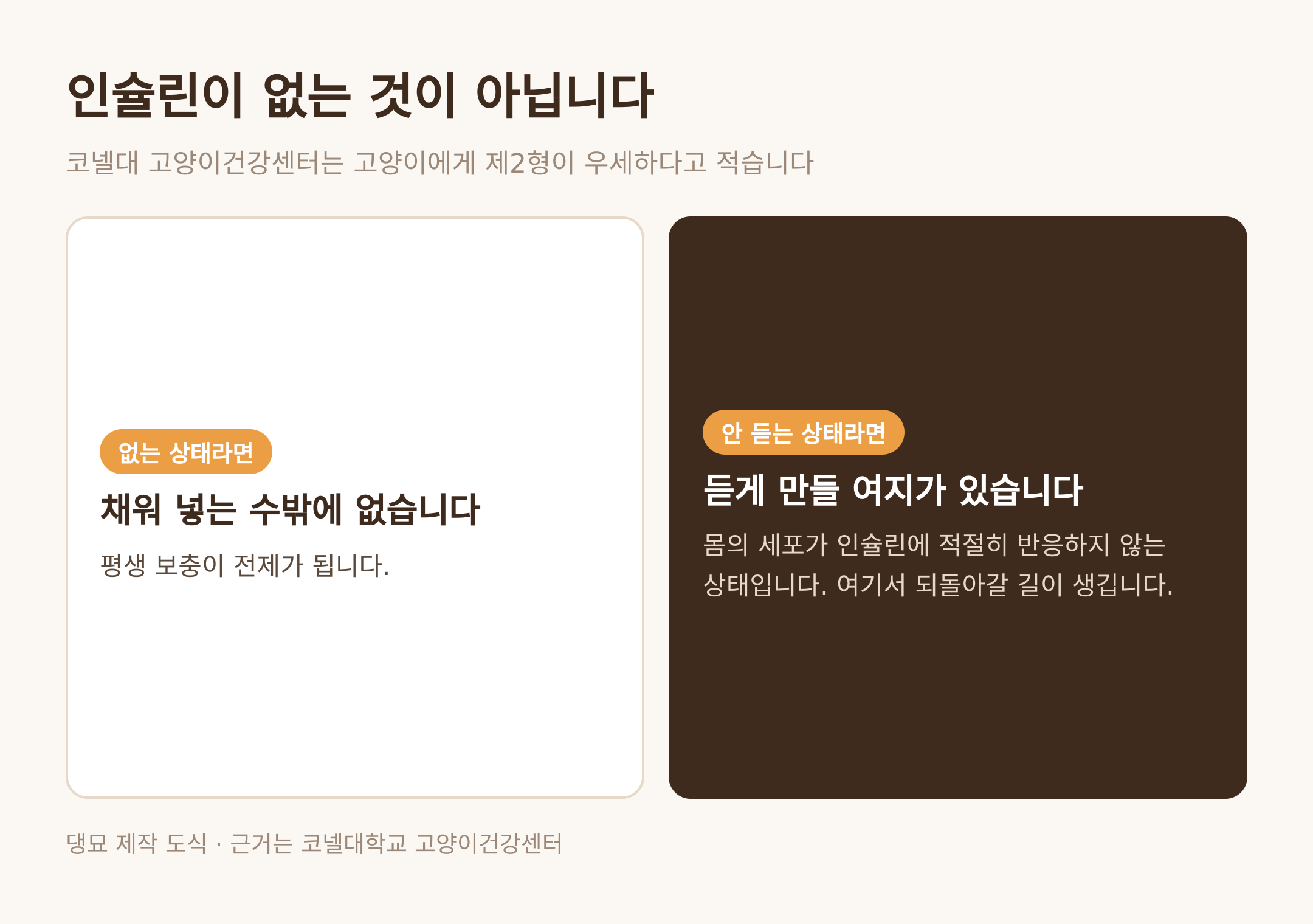 인슐린이 없는 것이 아니라 안 듣는 상태다 · 댕묘 제작 도식 · 근거는 코넬대학교 고양이건강센터
