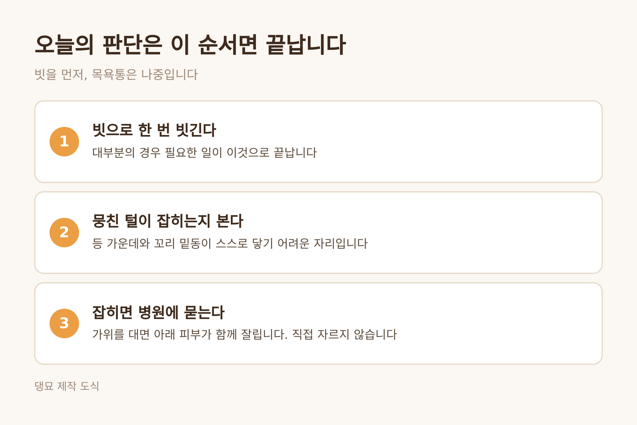 오늘의 판단 순서