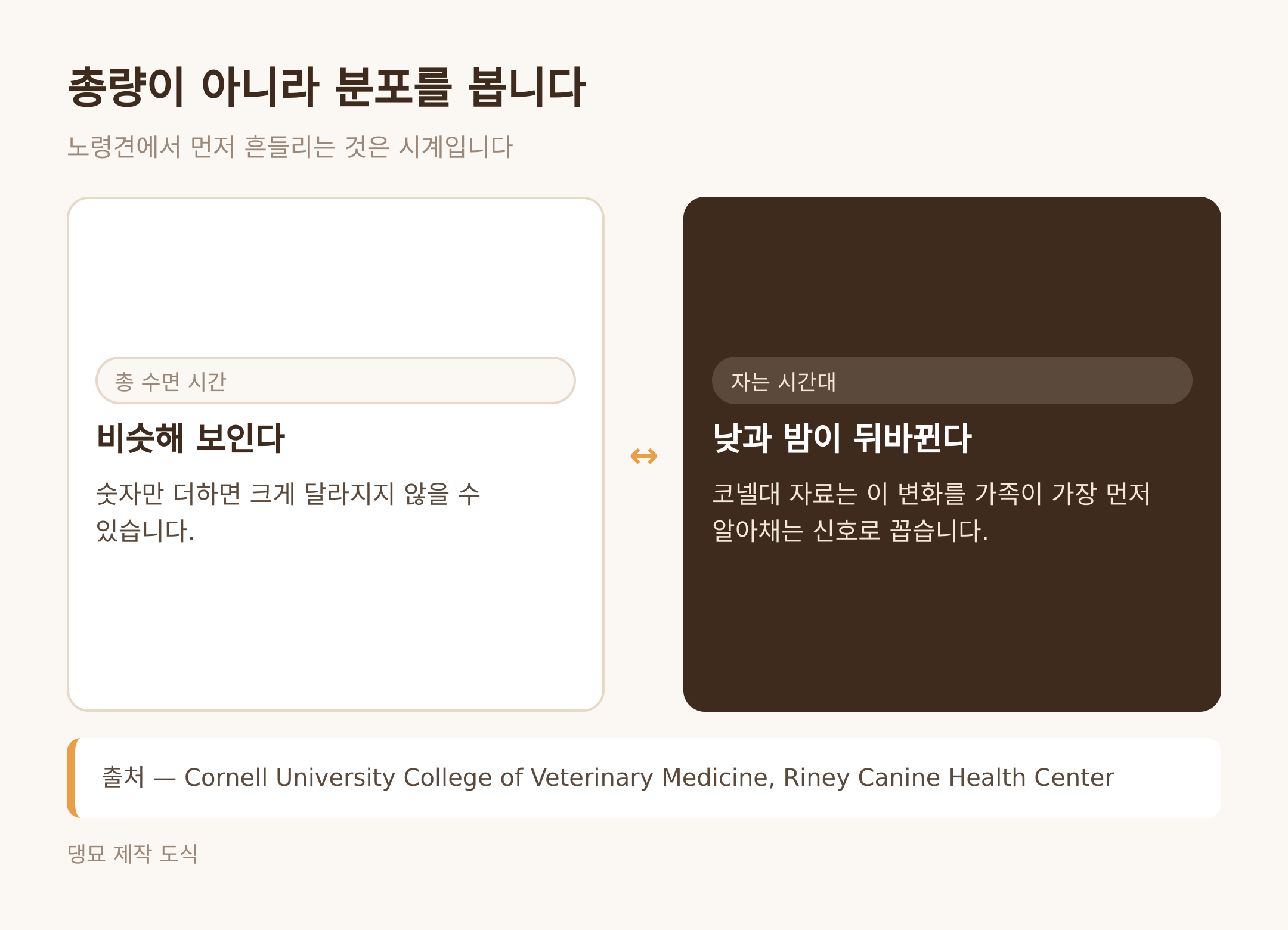 총량이 아니라 분포를 본다 (댕묘 제작 도식)