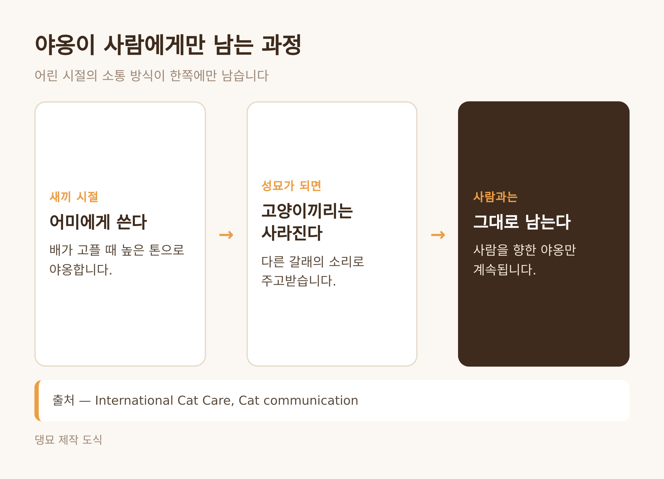 야옹이 사람에게만 남는 과정 (댕묘 제작 도식)