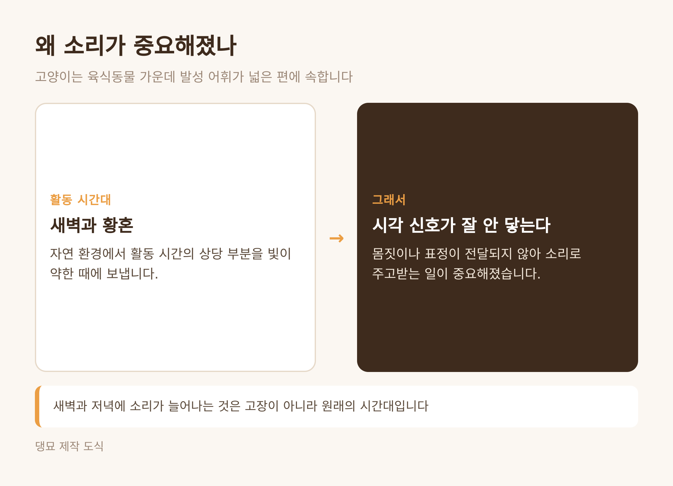 왜 소리가 중요해졌나 (댕묘 제작 도식)