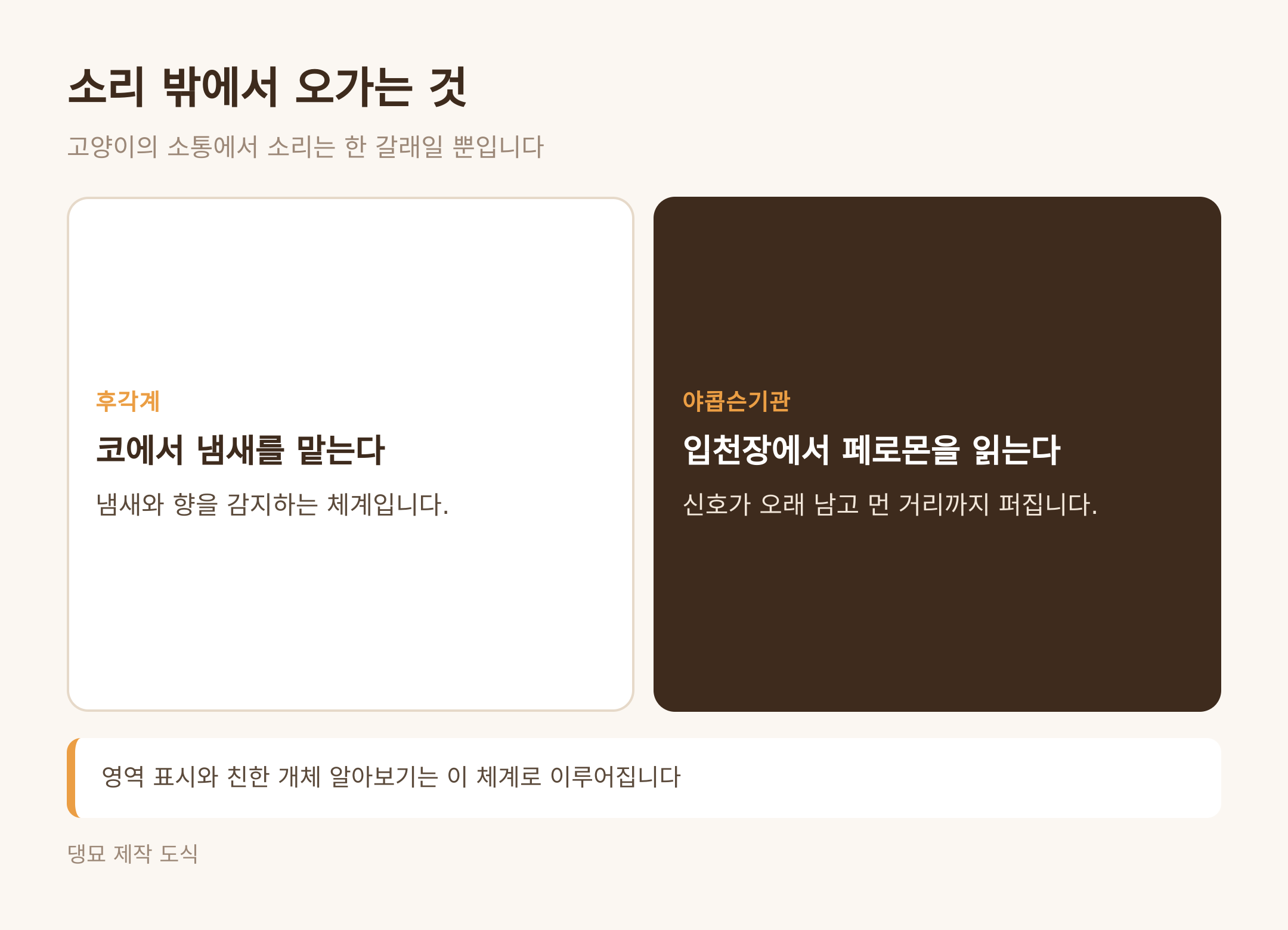 소리 밖에서 오가는 것 (댕묘 제작 도식)