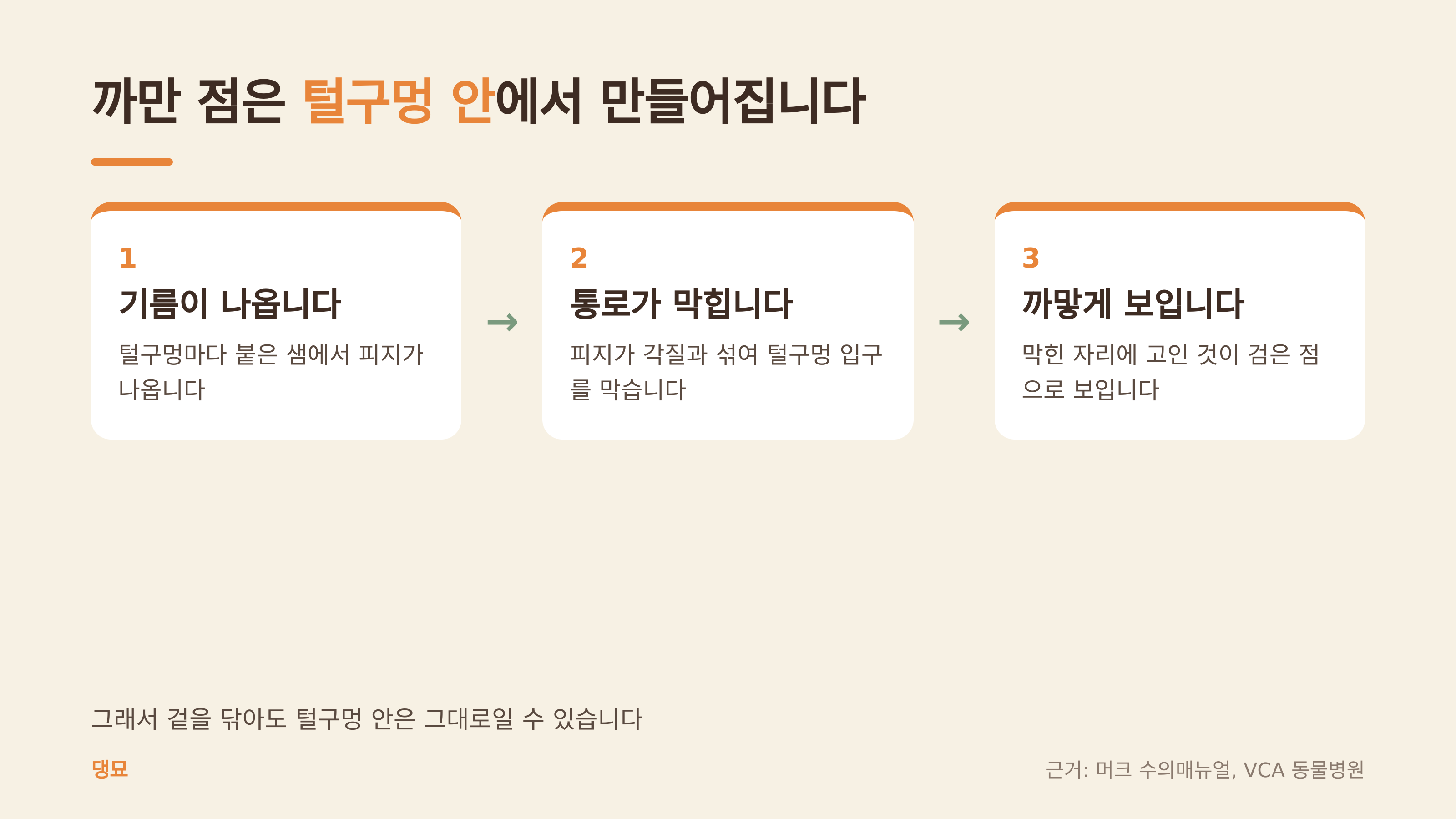 까만 점이 생기는 순서 (댕묘 제작 도식, 근거: 머크 수의매뉴얼, VCA 동물병원)