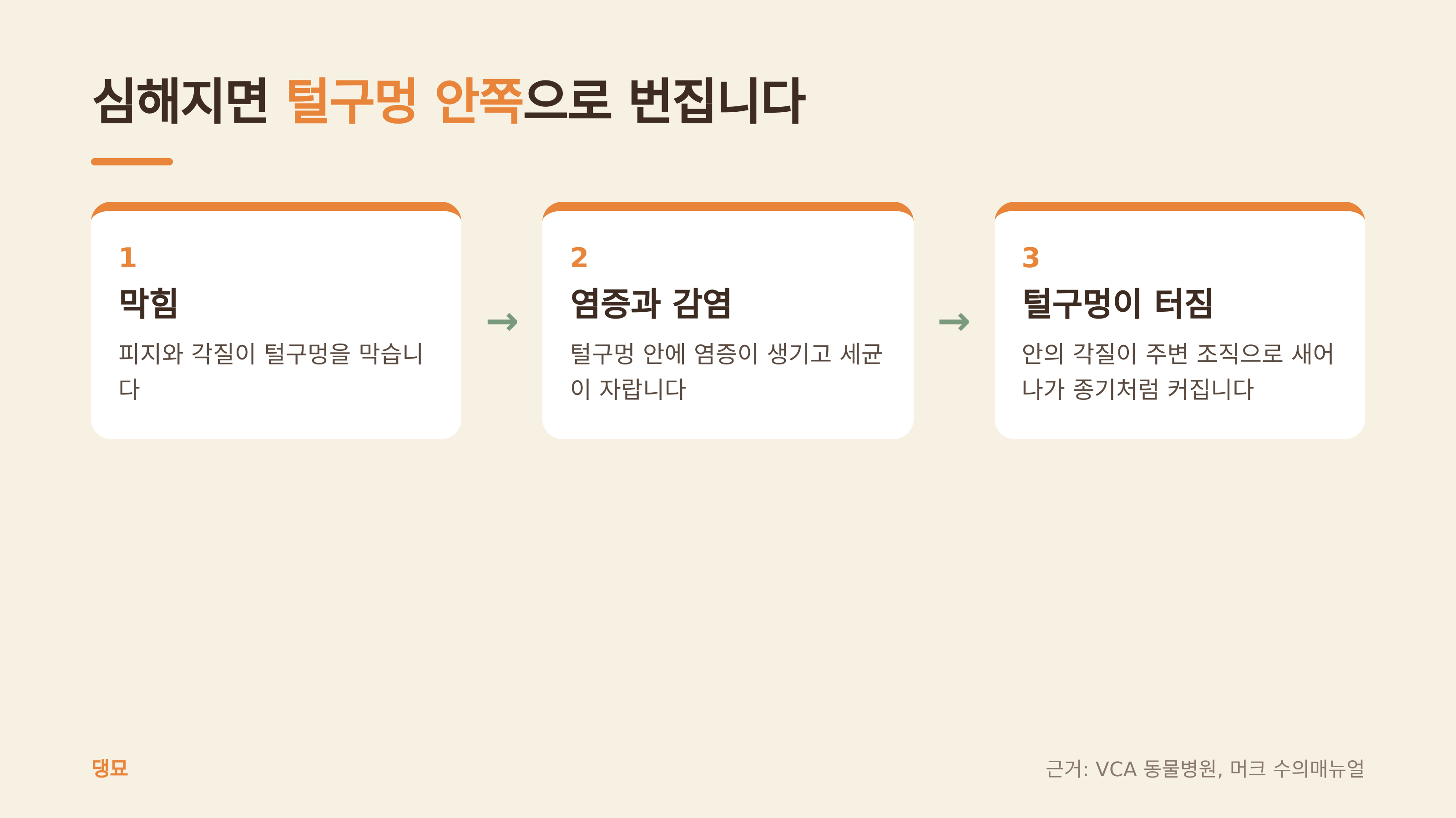 심해질 때 번지는 순서 (댕묘 제작 도식, 근거: VCA 동물병원, 머크 수의매뉴얼)