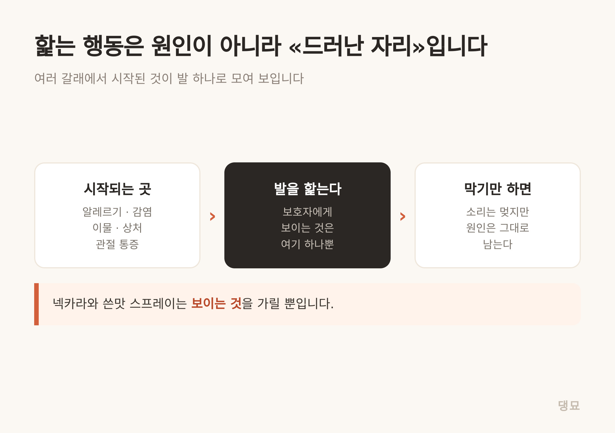 여러 갈래에서 시작된 문제가 «발을 핥는다» 하나로 모여 보입니다