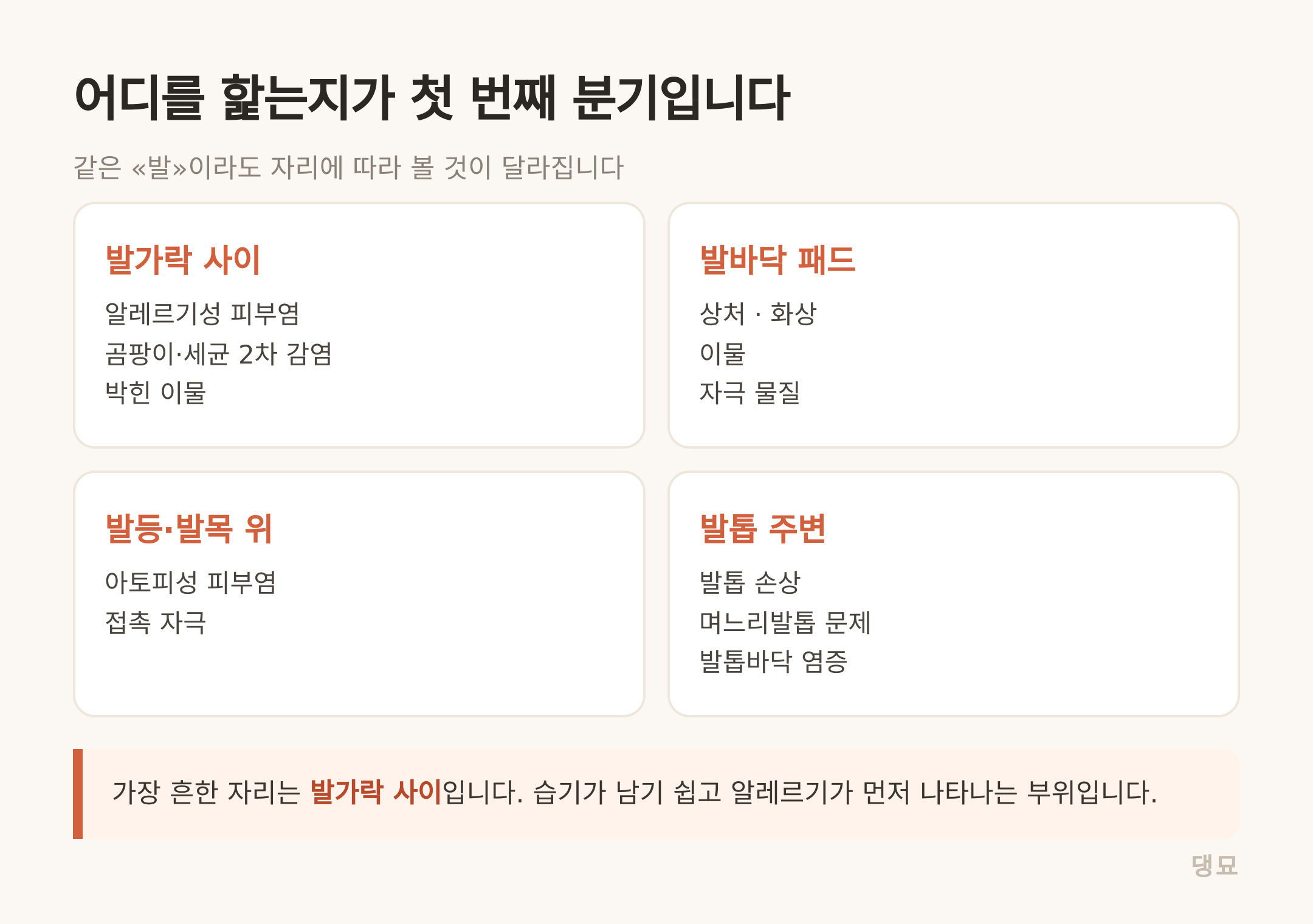 발가락 사이·발바닥 패드·발등·발톱 주변에 따라 볼 것이 달라집니다