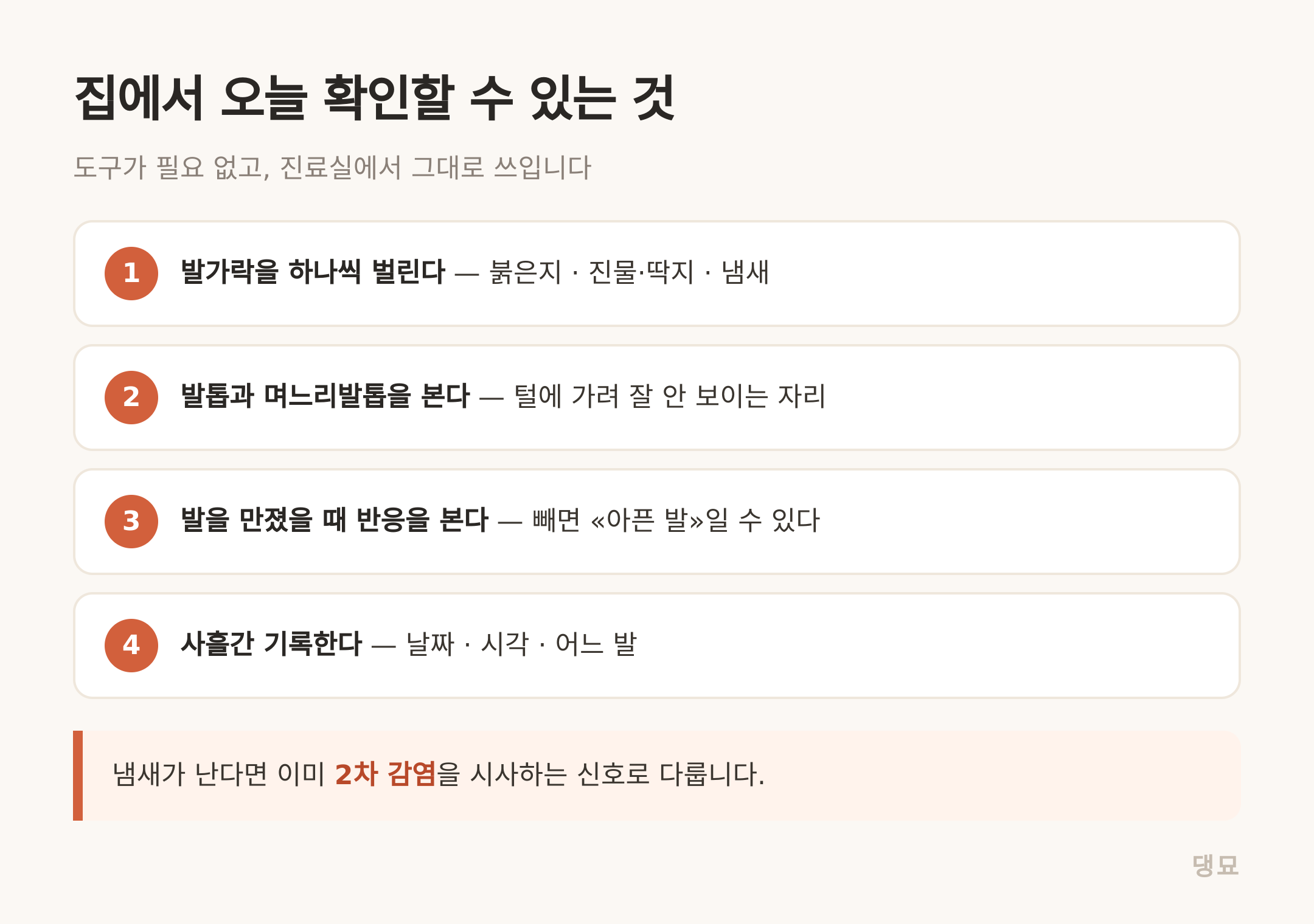 도구 없이 오늘 확인할 수 있는 네 가지입니다