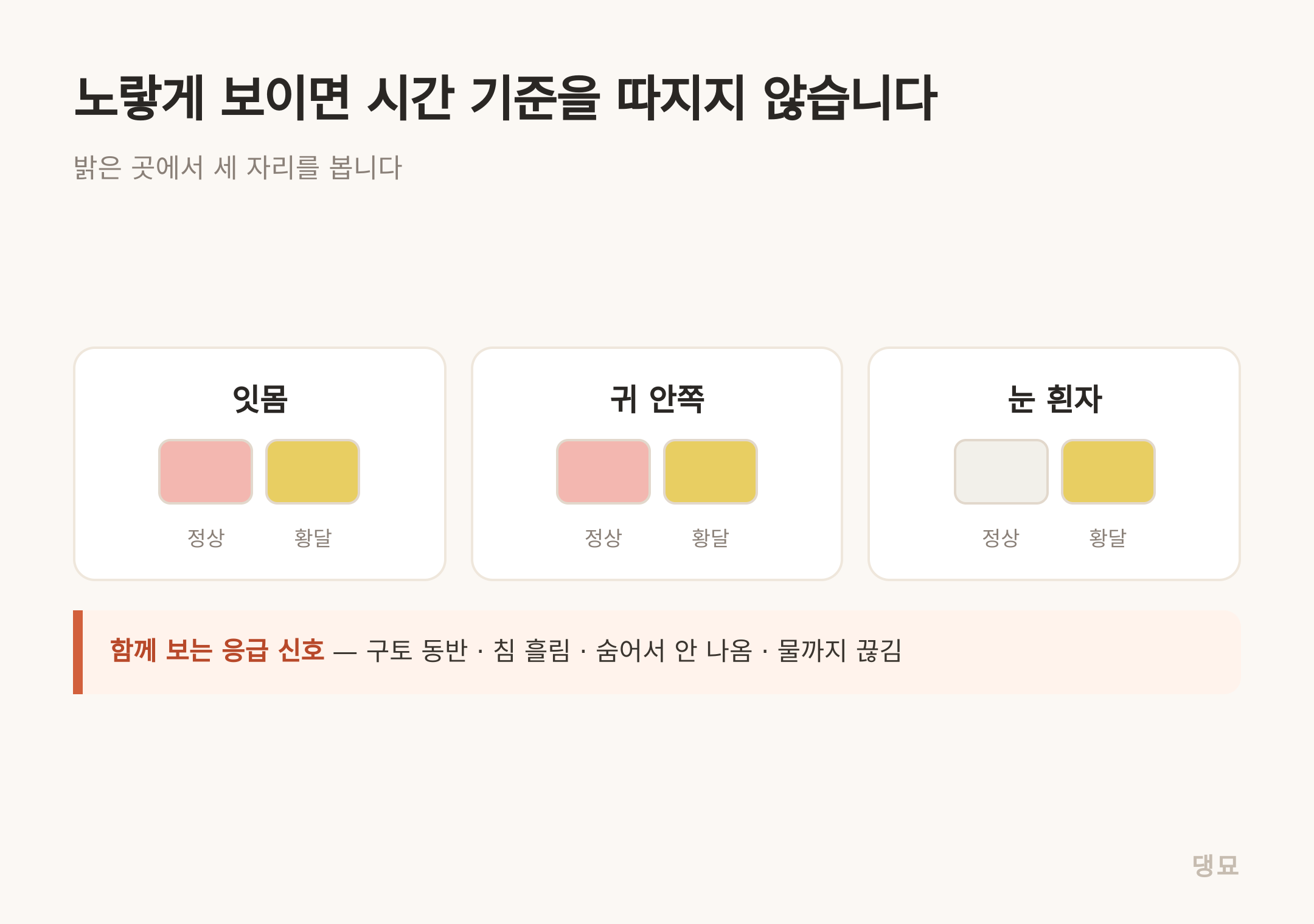 밝은 곳에서 잇몸·귀 안쪽·눈 흰자 세 자리를 봅니다